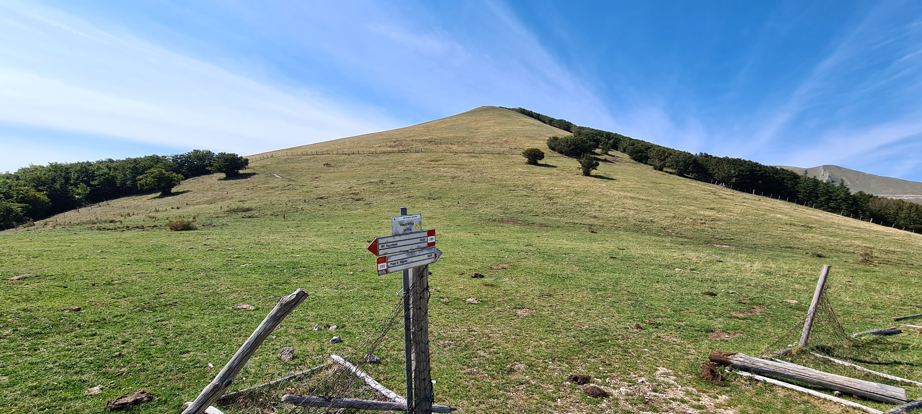 Monte Catria Sentiero 51 - immagine 12 (Pian d'Ortica)
