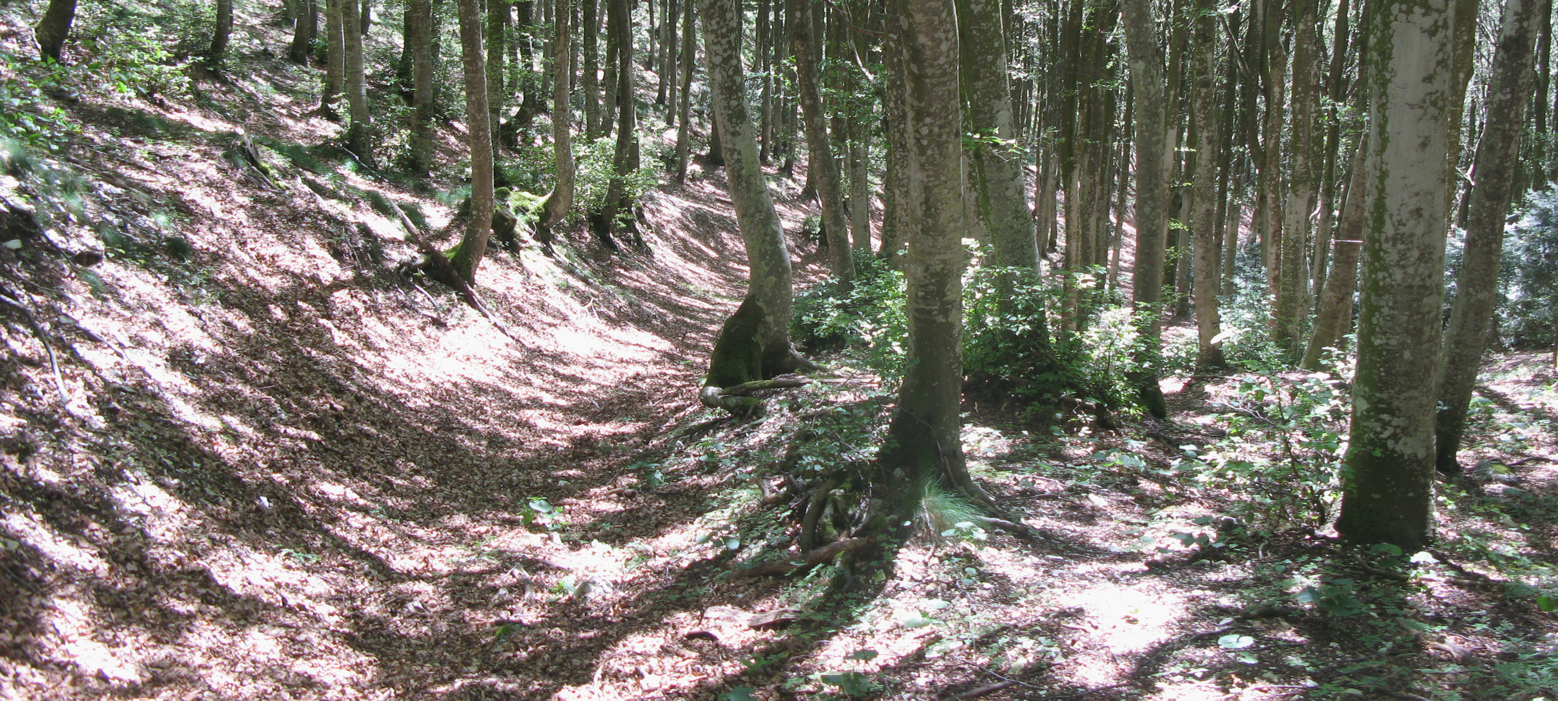 Monte Catria Sentiero 51 - immagine 13