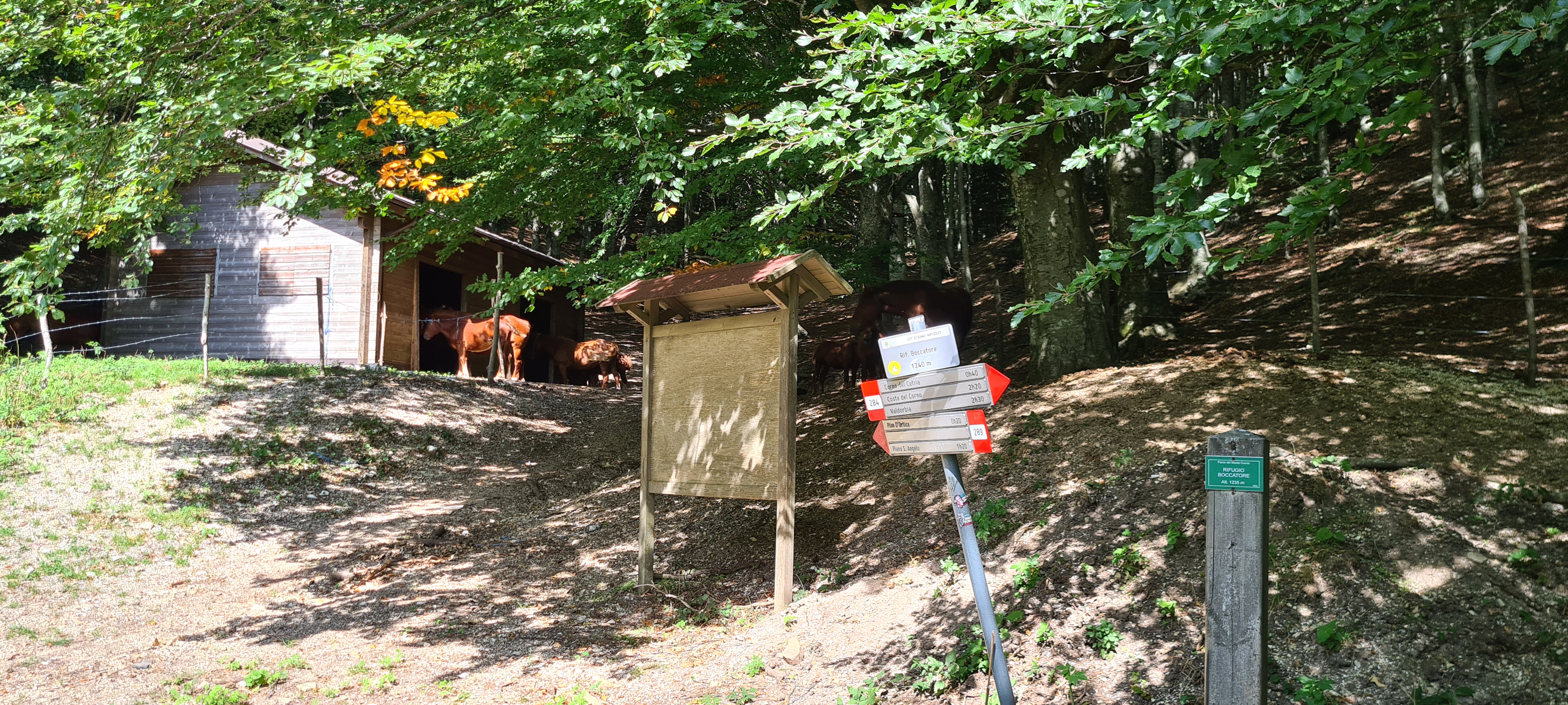 Monte Catria Sentiero 51 - immagine 14 (Rifugio Boccatore)