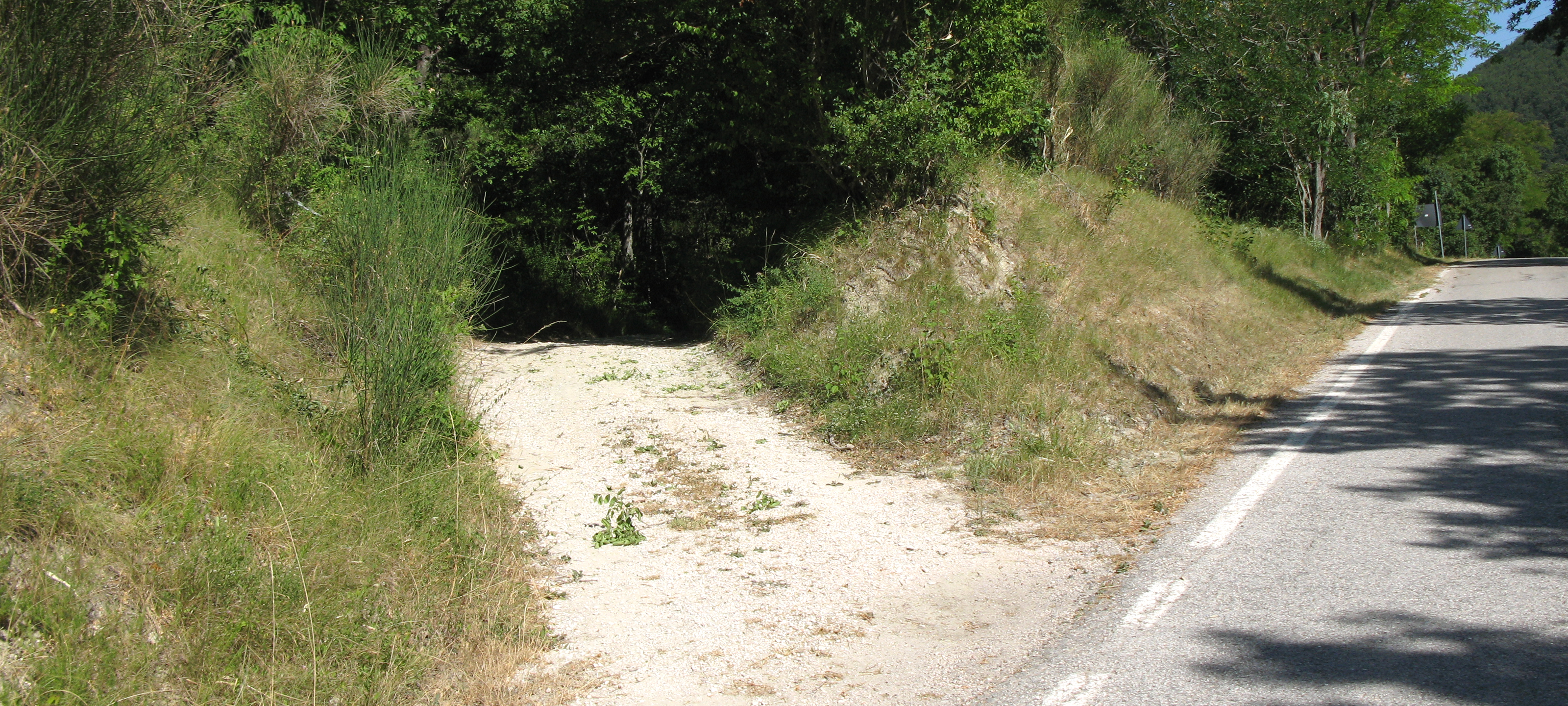 Monte Catria Sentiero 52 - immagine 1