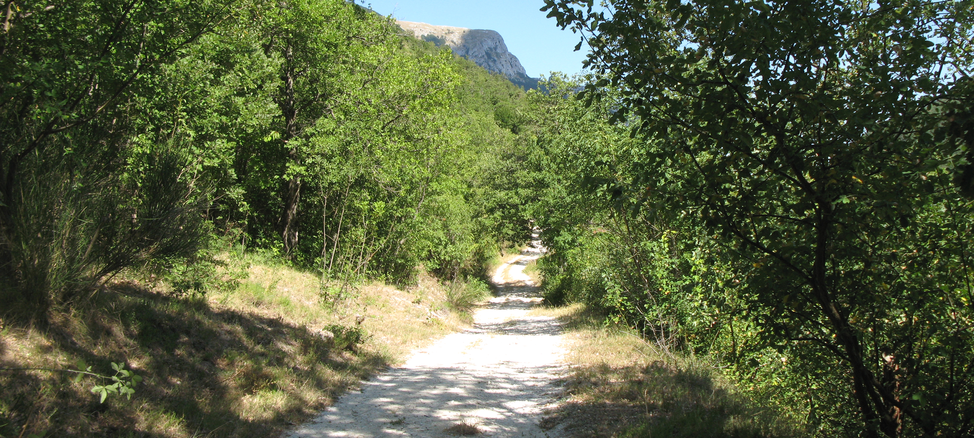 Monte Catria Sentiero 52 - immagine 2