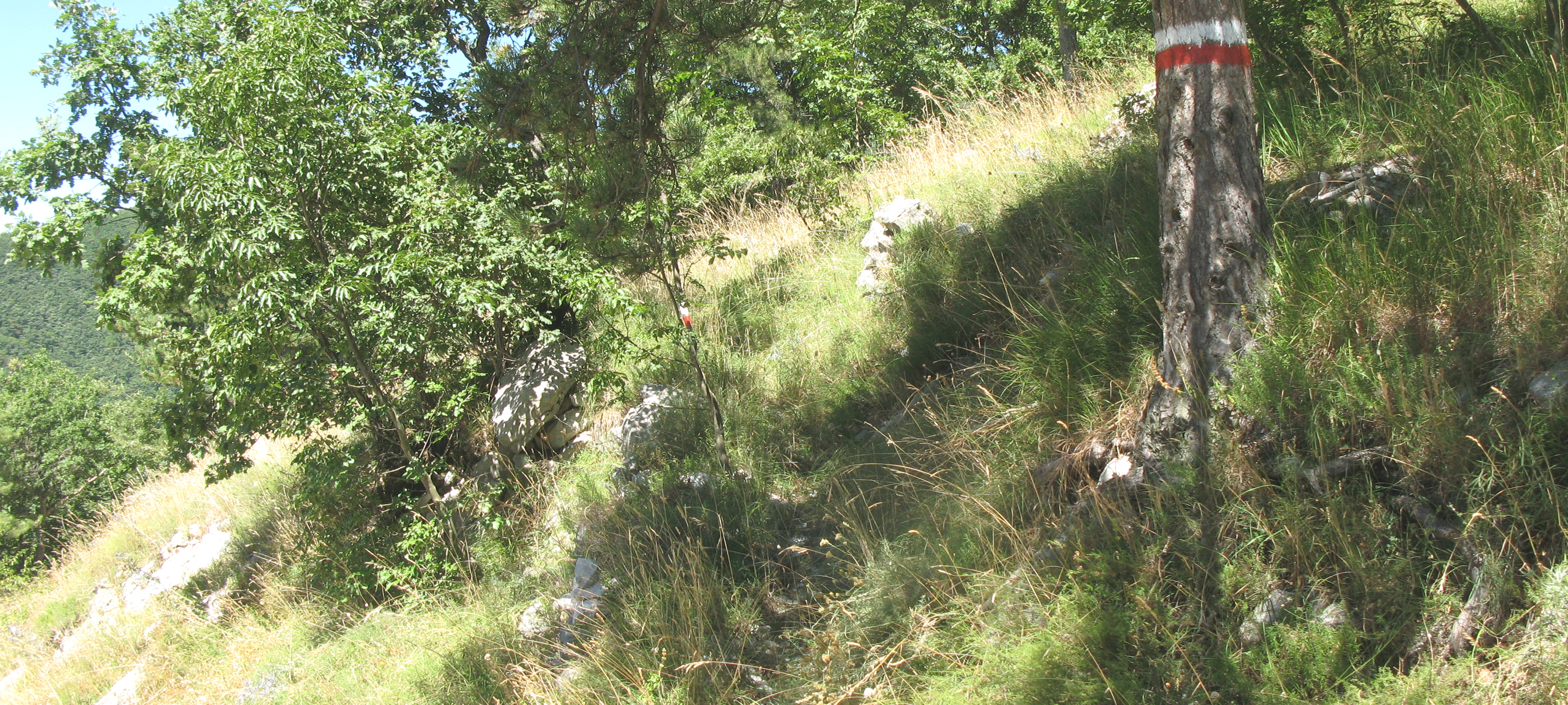 Monte Catria Sentiero 52 - immagine 4