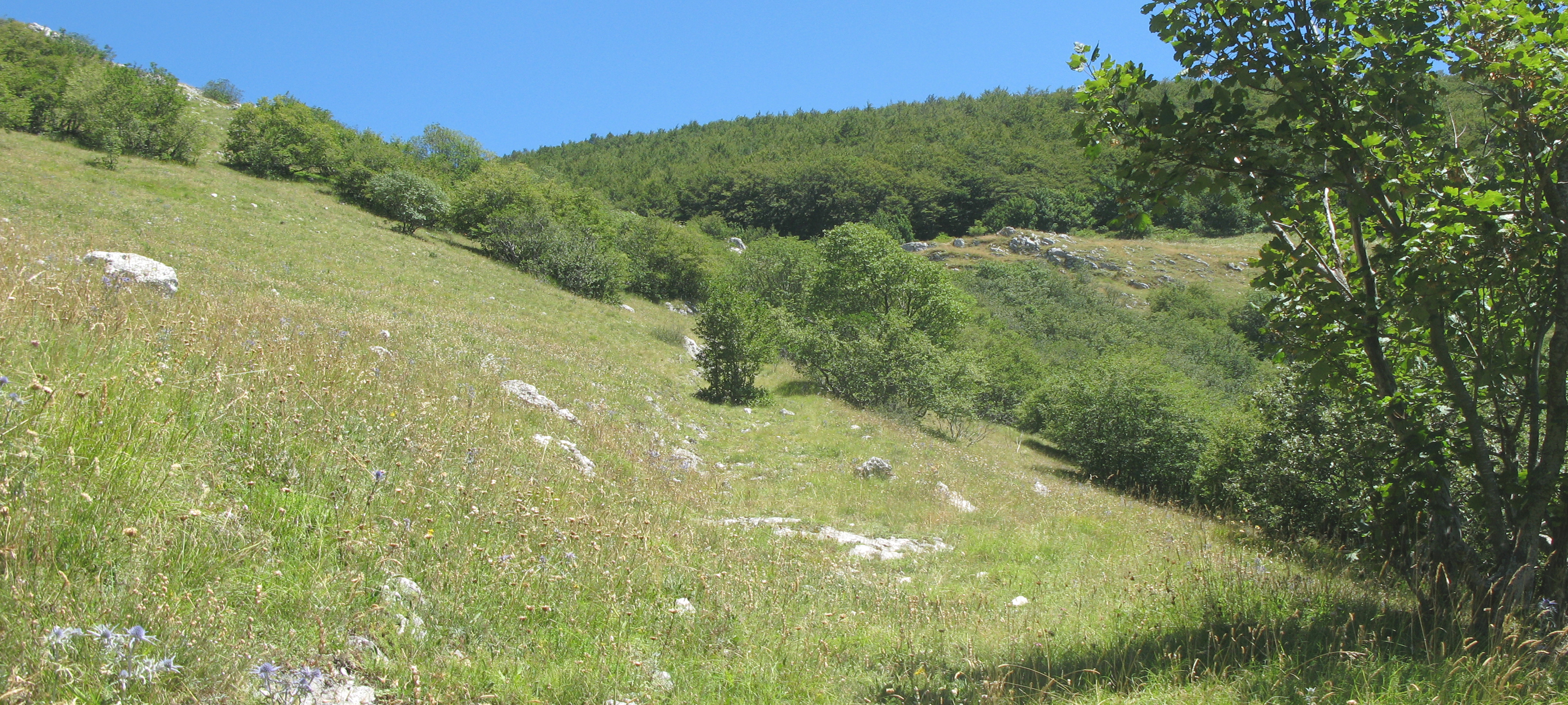 Monte Catria Sentiero 52 - immagine 8