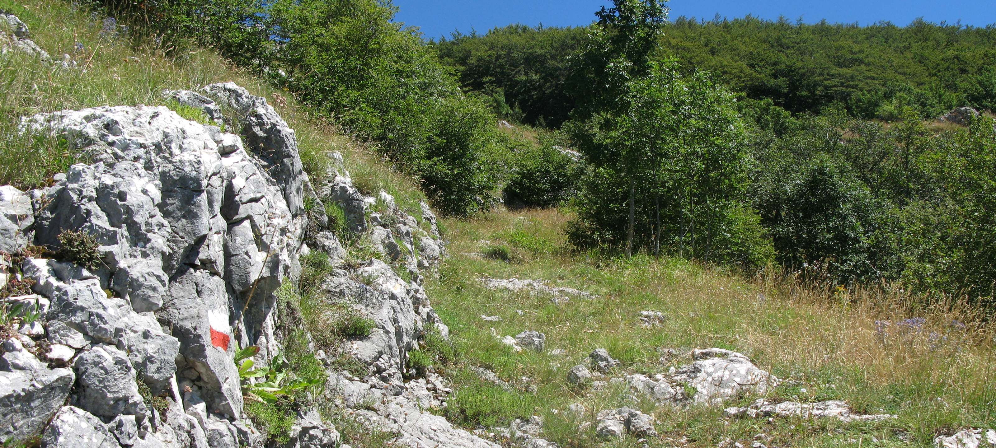 Monte Catria Sentiero 52 - immagine 9