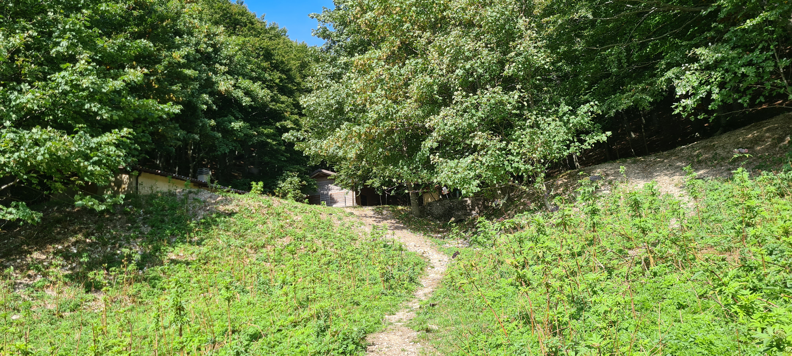 Monte Catria Sentiero 52 - immagine 10