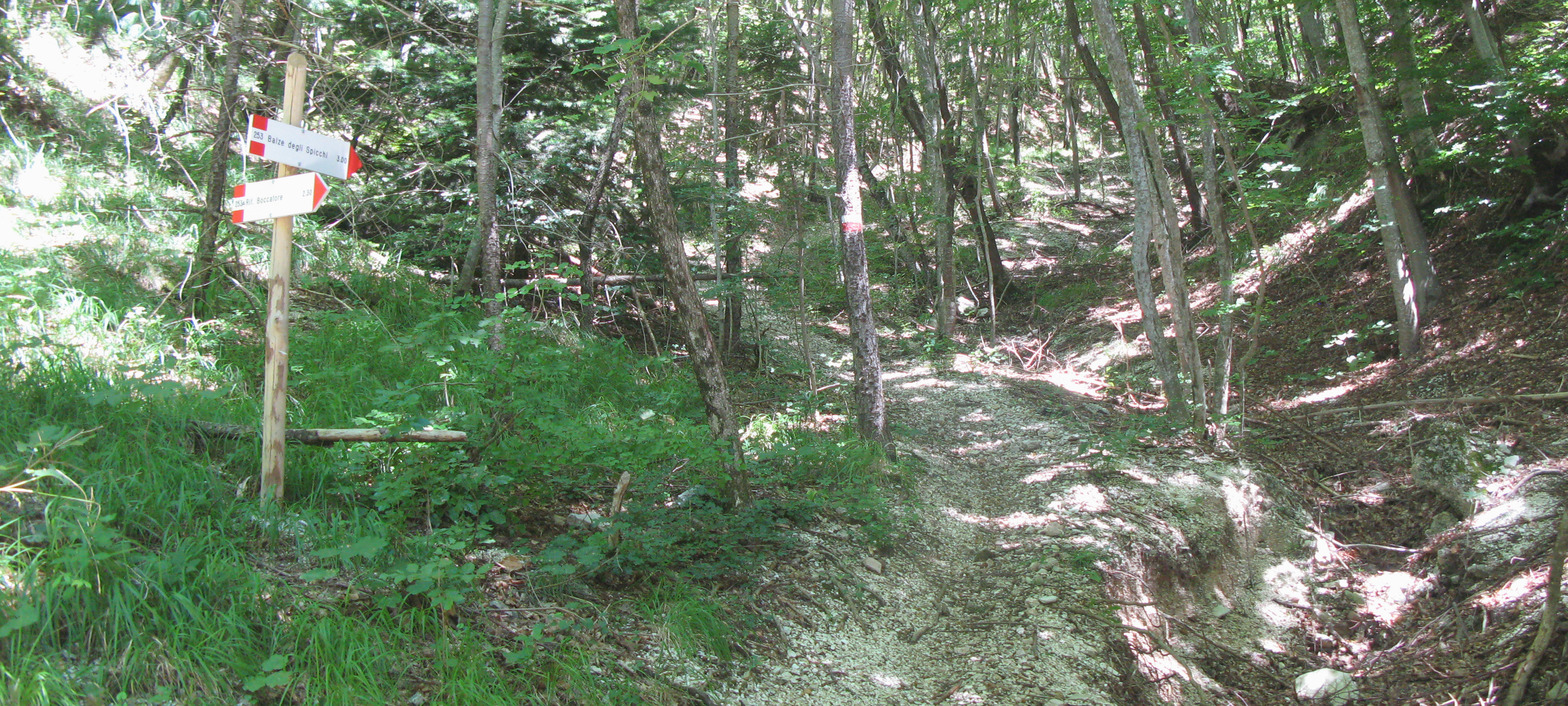 Monte Catria Sentiero 53 - immagine 1
