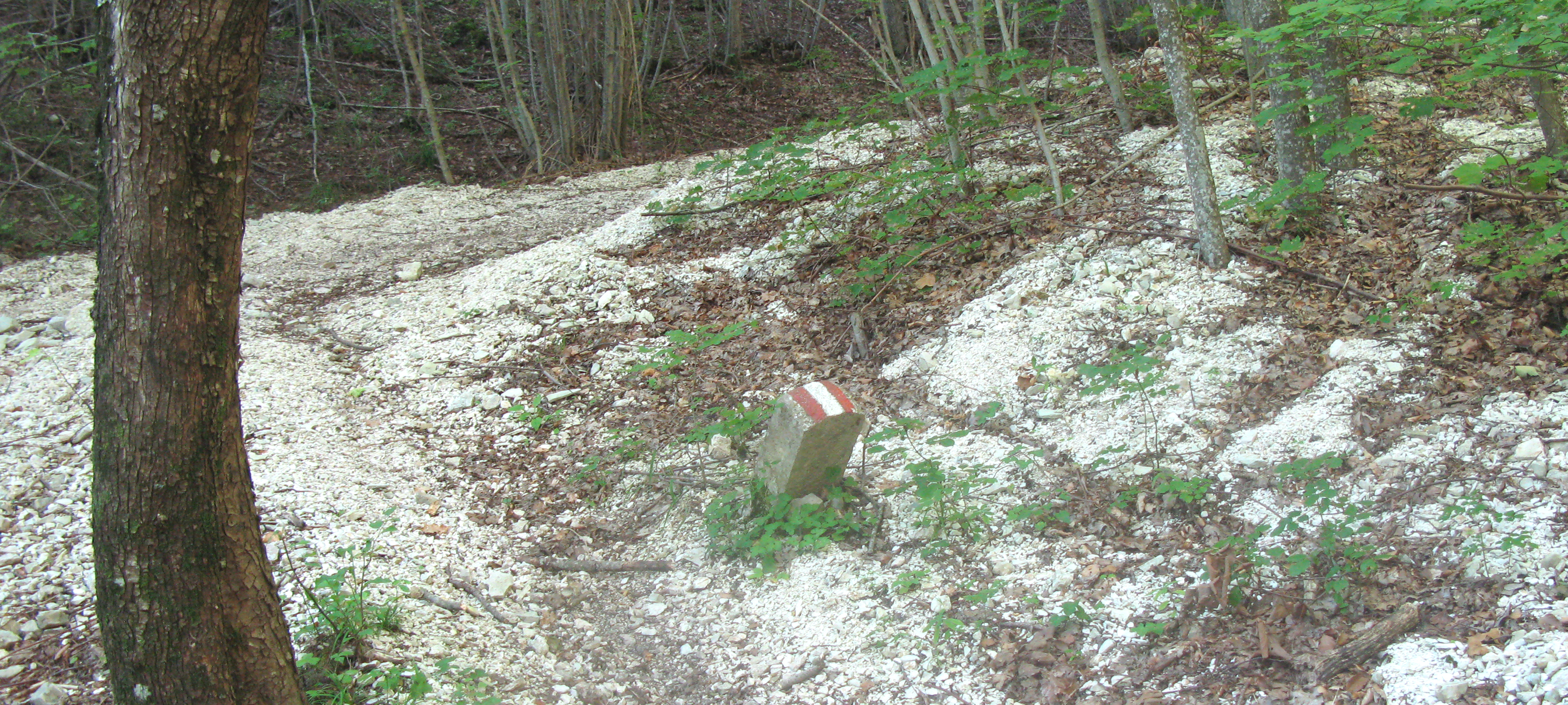 Monte Catria Sentiero 53 - immagine 2