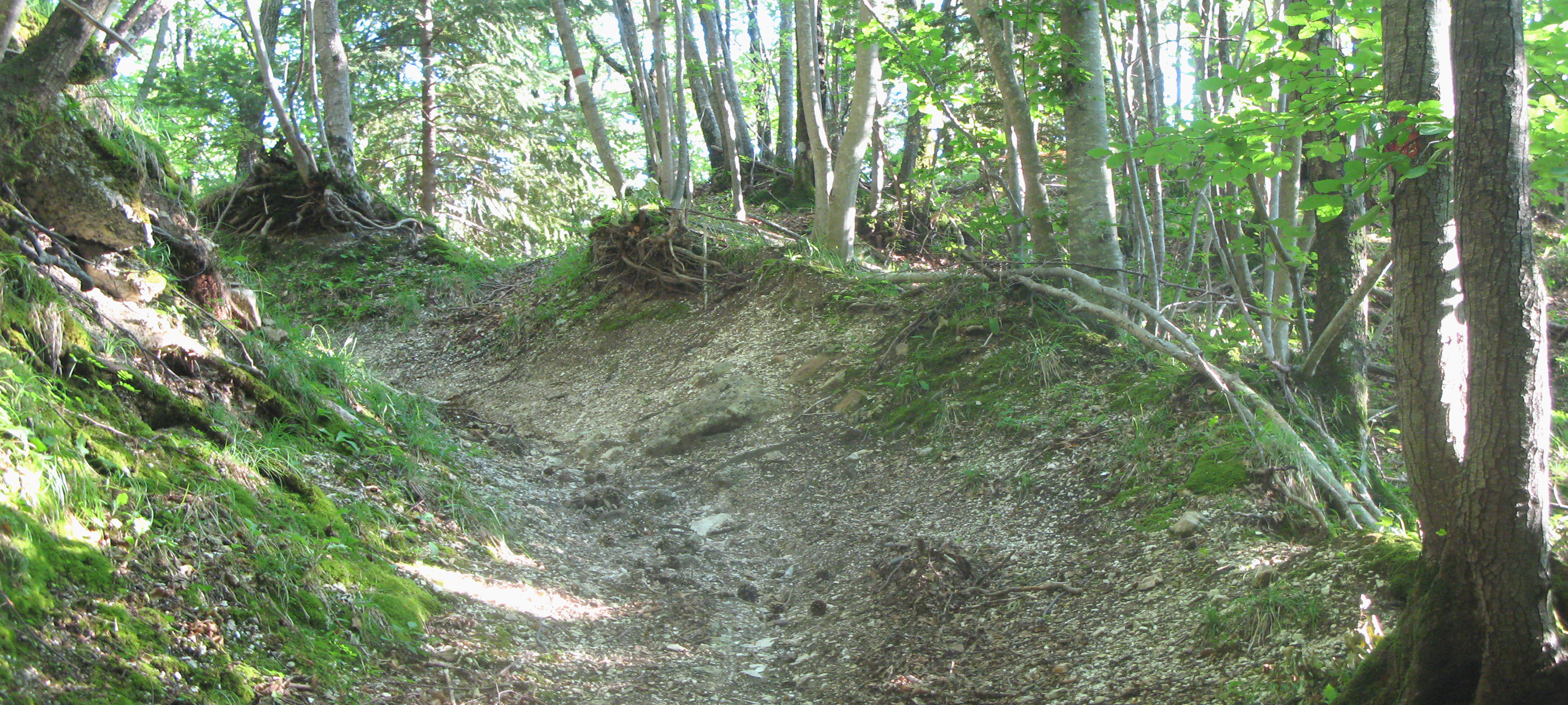 Monte Catria Sentiero 53 - immagine 2A