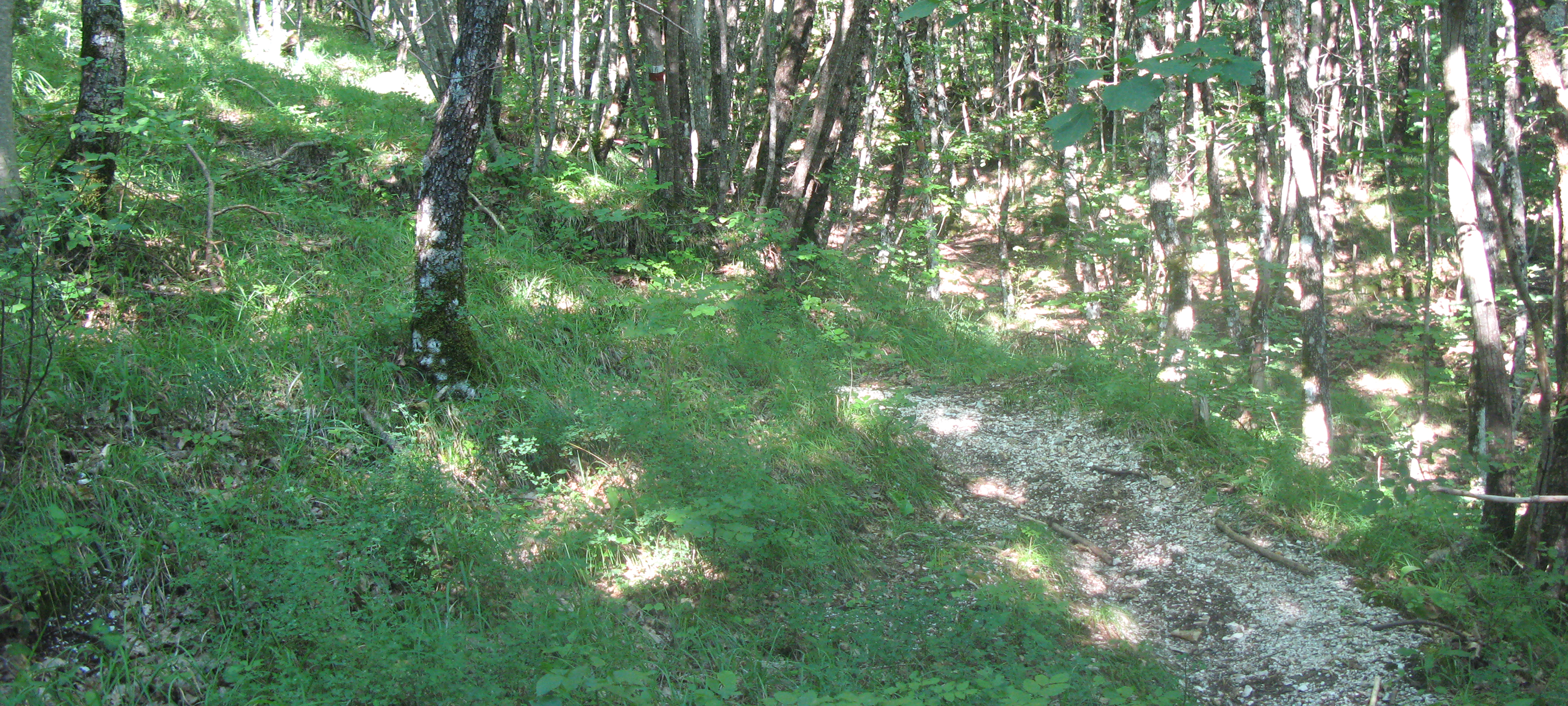 Monte Catria Sentiero 53 - immagine 2c