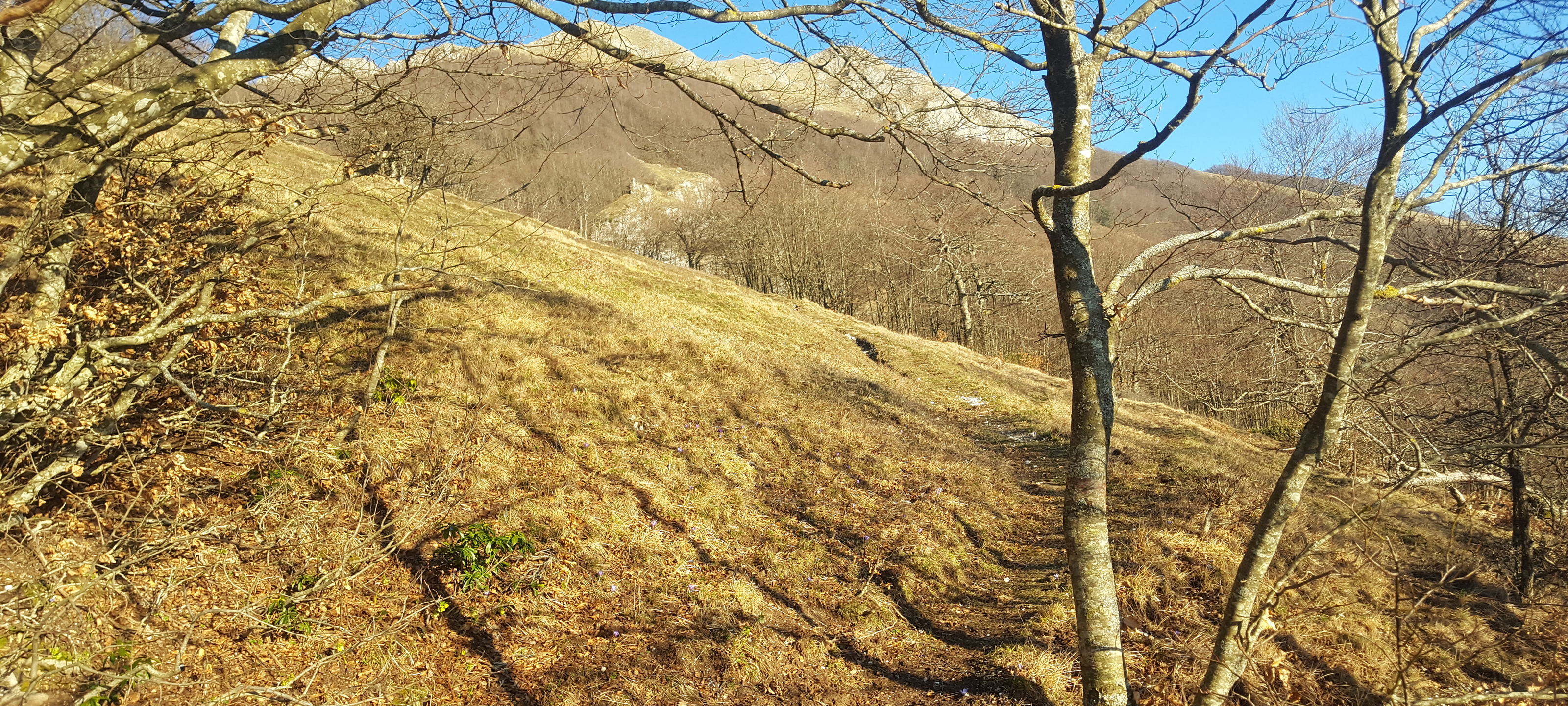 Monte Catria Sentiero 53 - immagine 3 (vista Balza degli Spicchi)