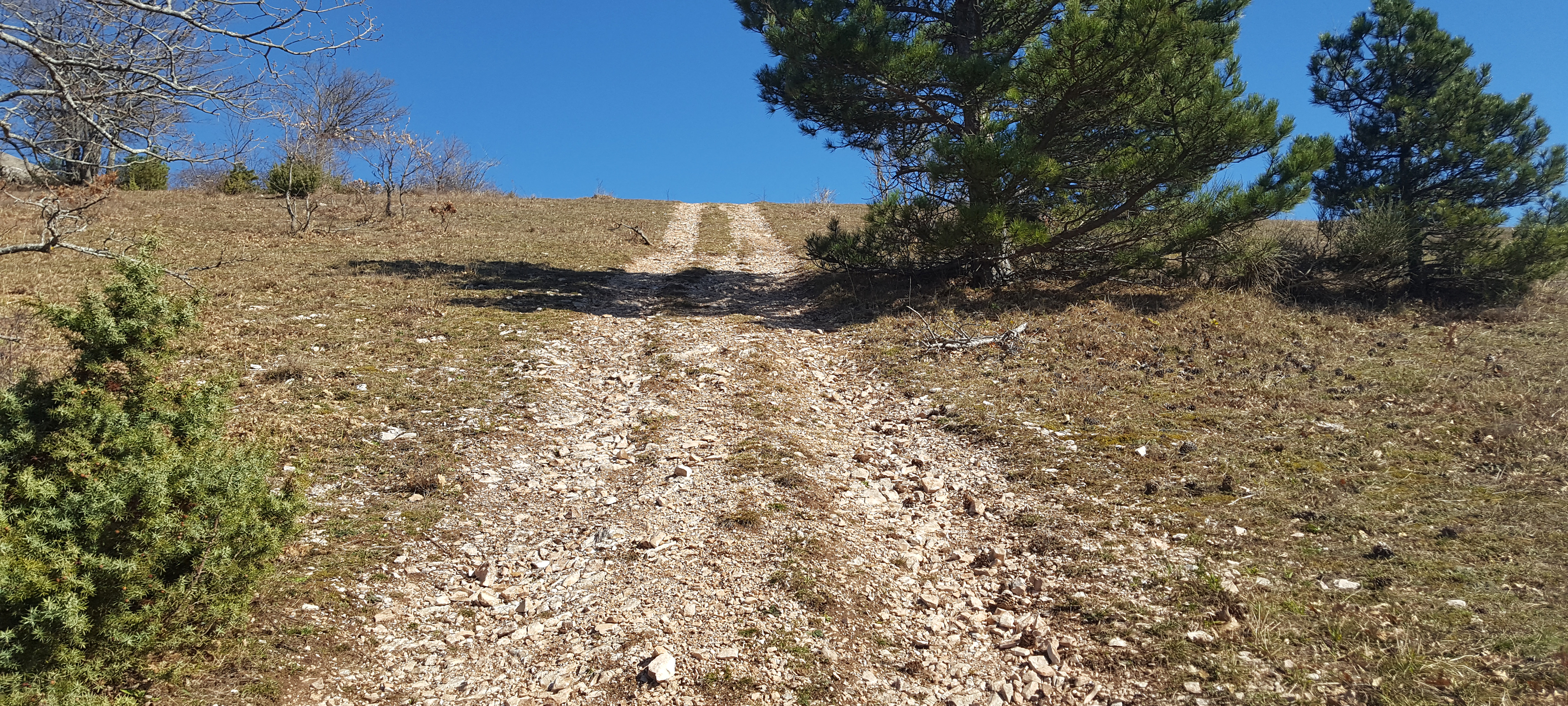 Monte Catria Sentiero 54 - immagine 0b