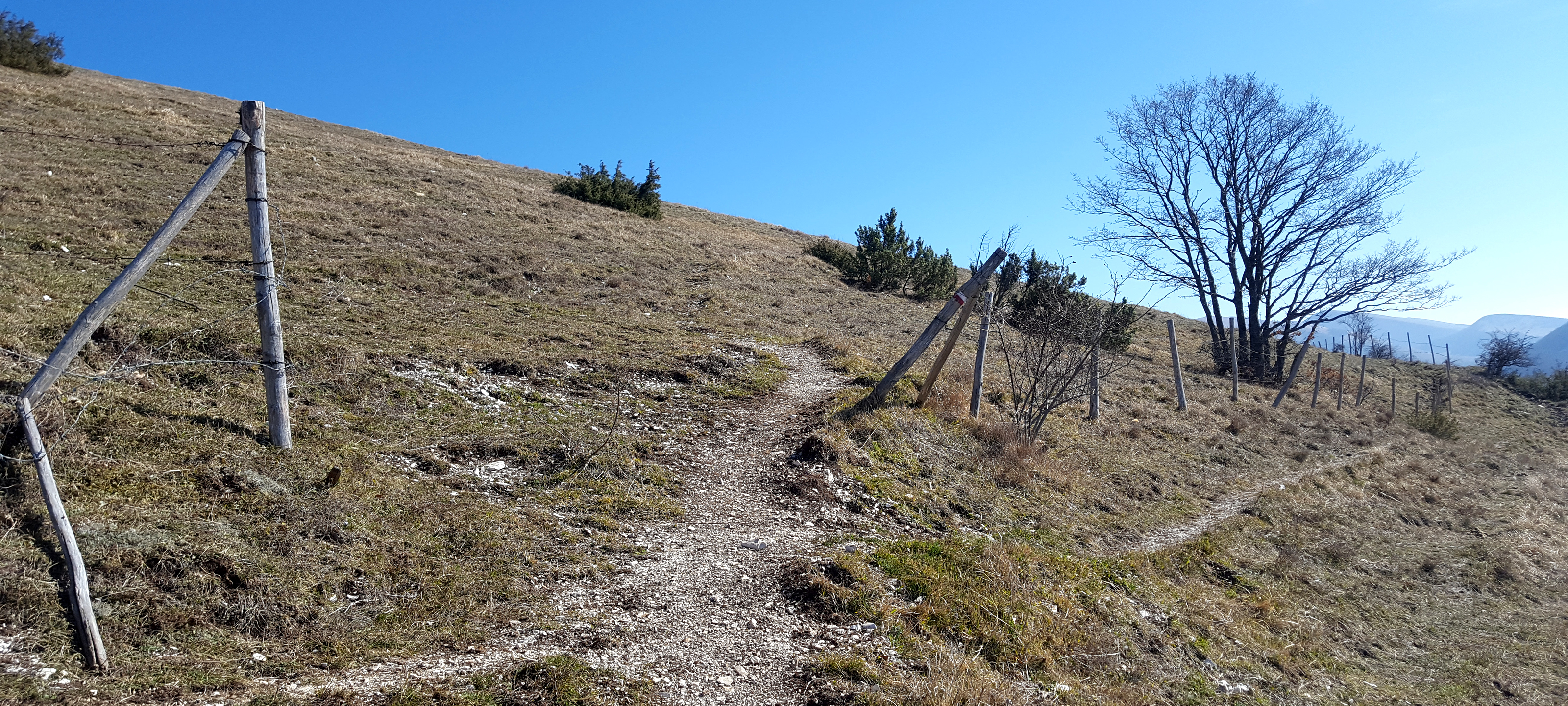 Monte Catria Sentiero 54 - immagine 2