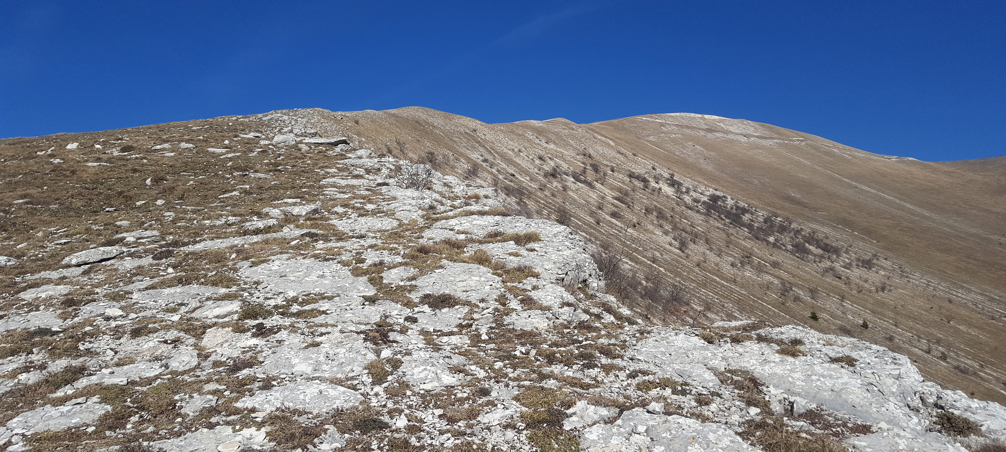 Monte Catria Sentiero 54 - immagine 3