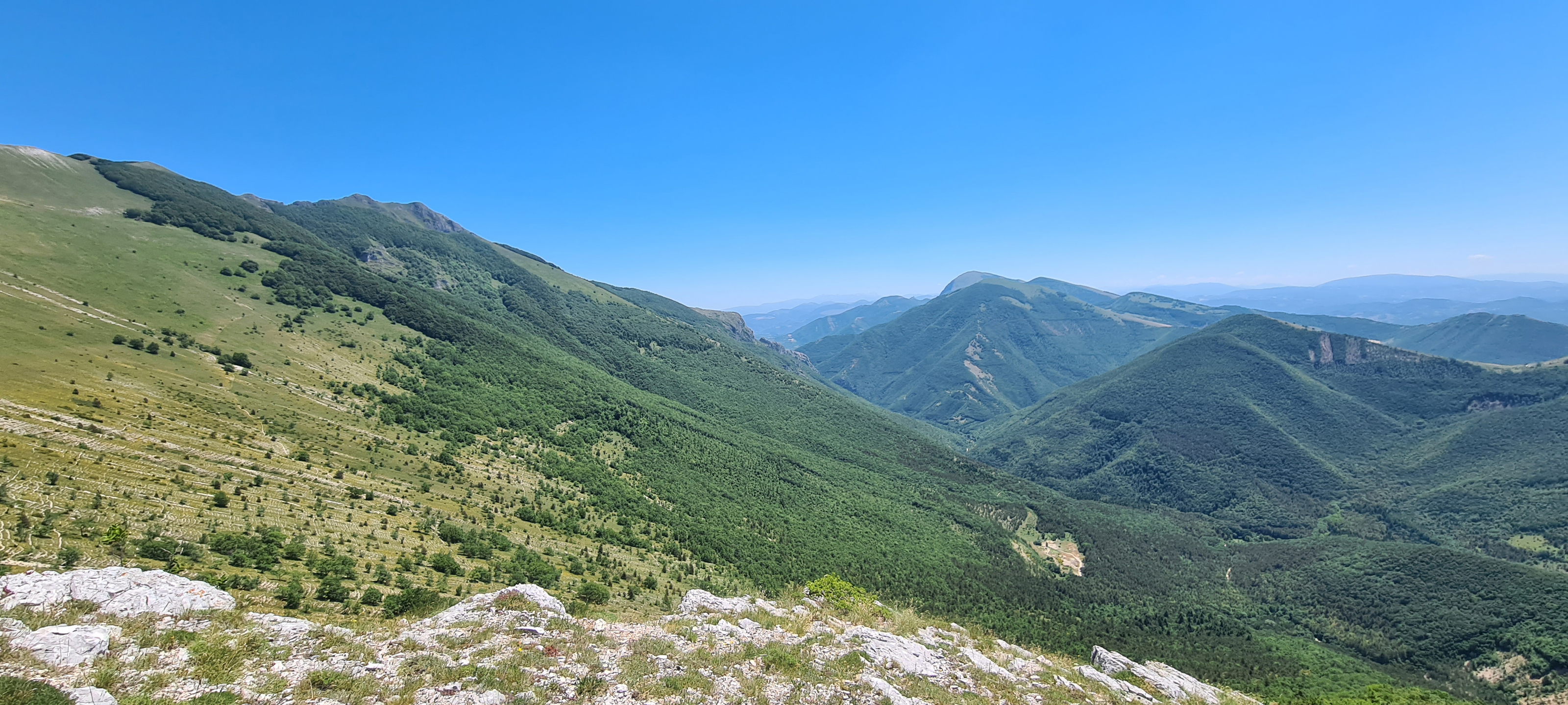 Monte Catria Sentiero 54 - immagine 4 (Cresta degli Spicchi e Corno)