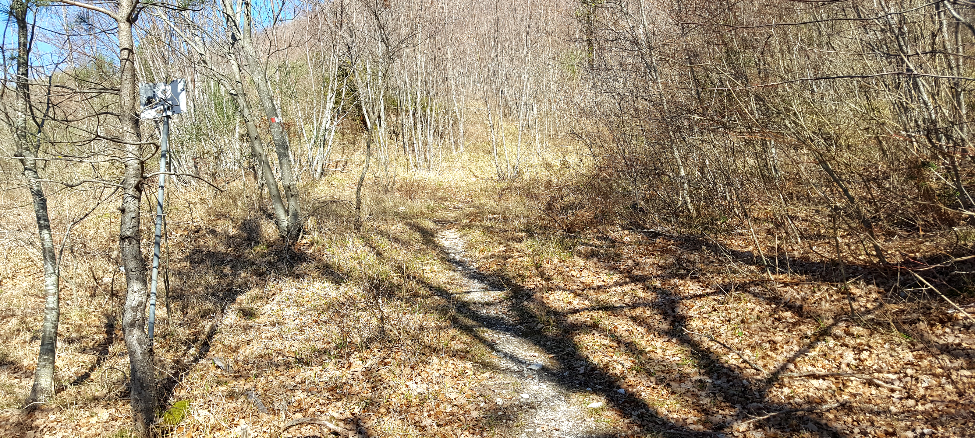 Monte Catria Sentiero 54a - immagine 1