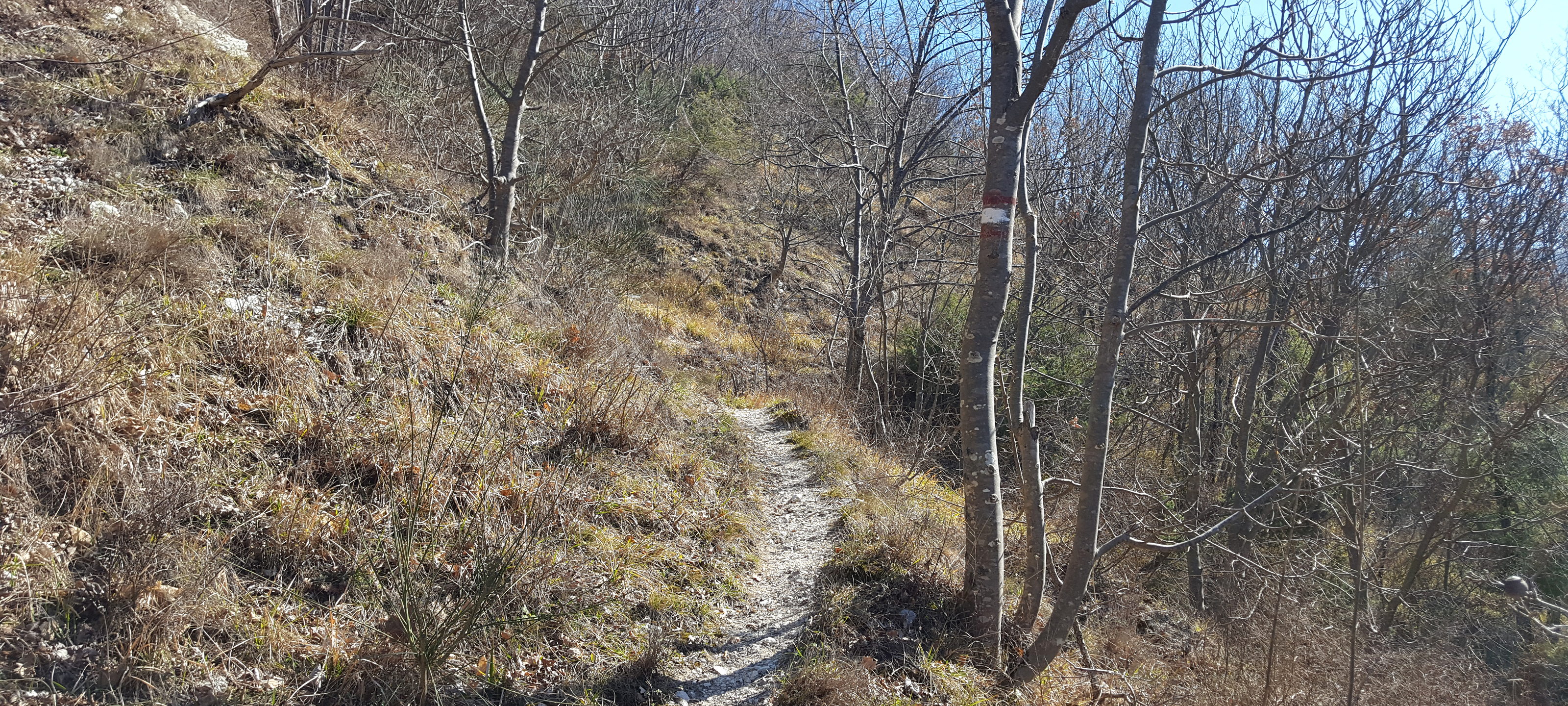 Monte Catria Sentiero 54a - immagine 4
