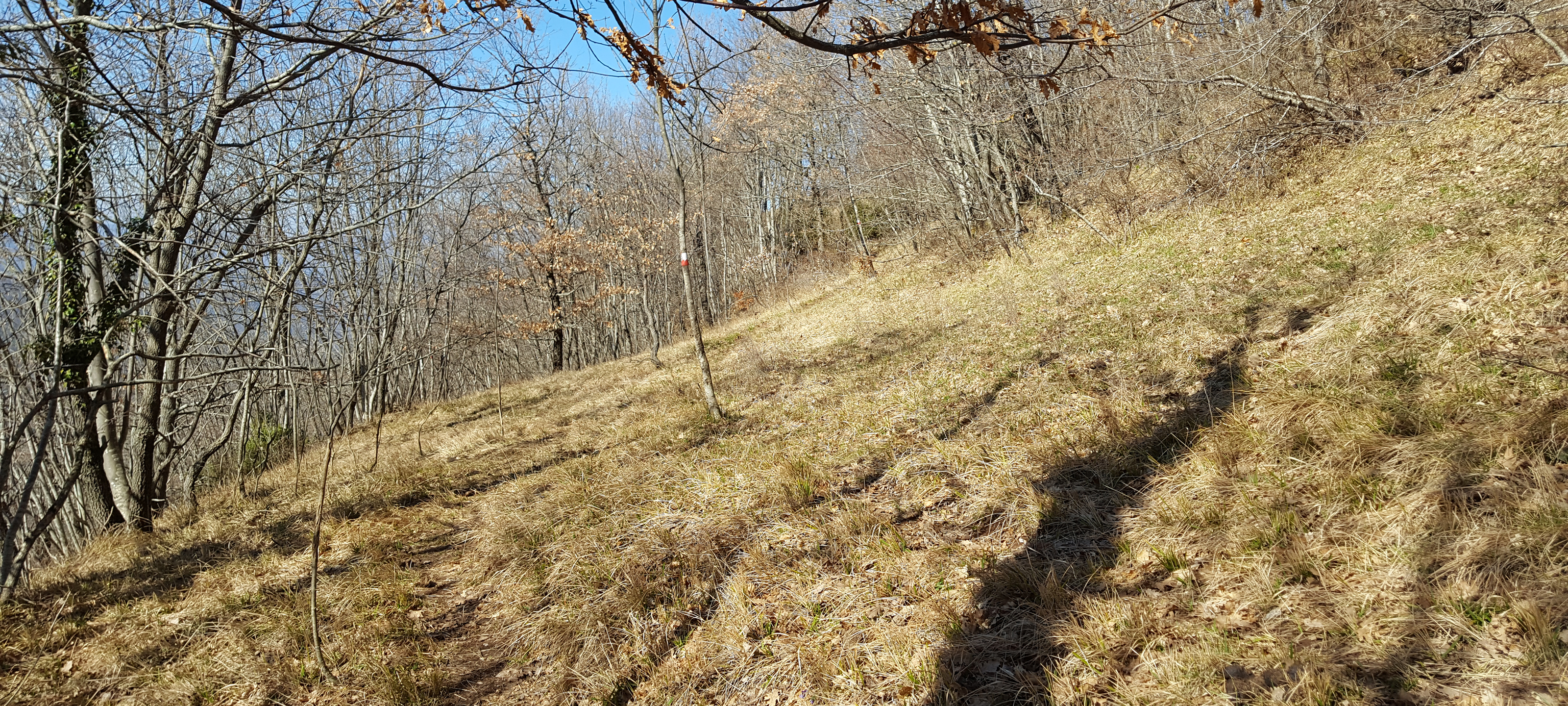 Monte Catria Sentiero 54a - immagine 6