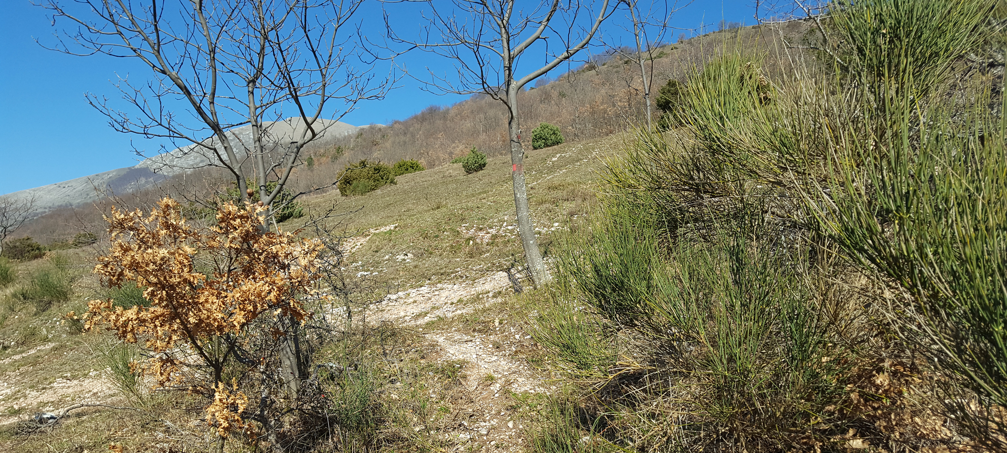 Monte Catria Sentiero 54a - immagine 7