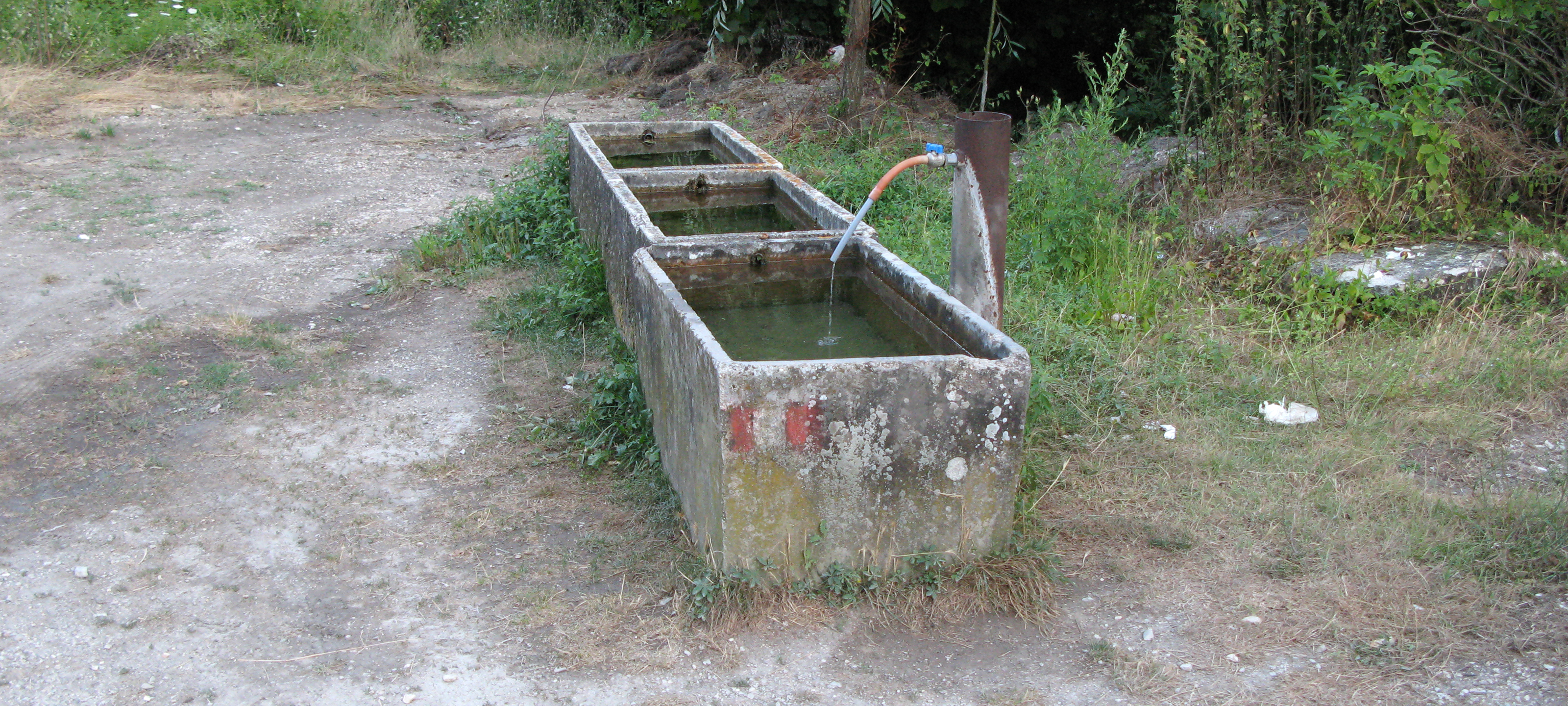 Monte Catria Sentiero 55 - immagine 1