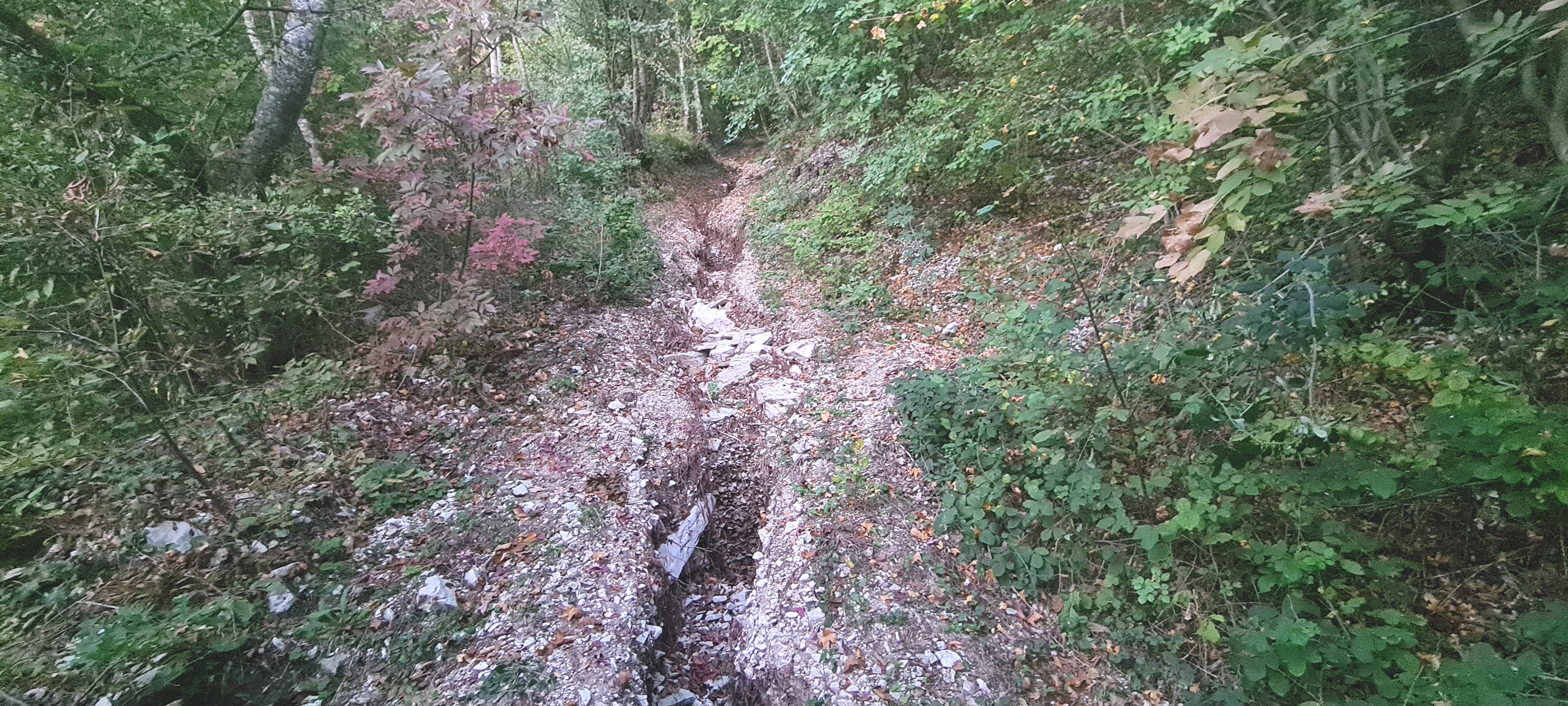 Monte Catria Sentiero 55 - immagine 4