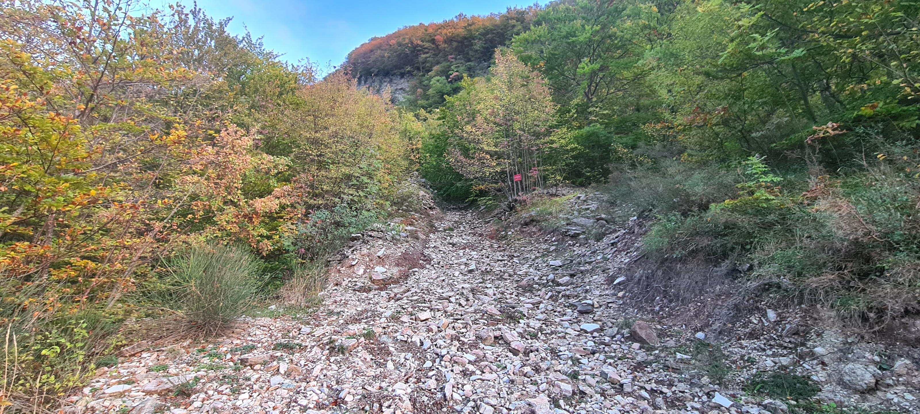 Monte Catria Sentiero 55 - immagine 5