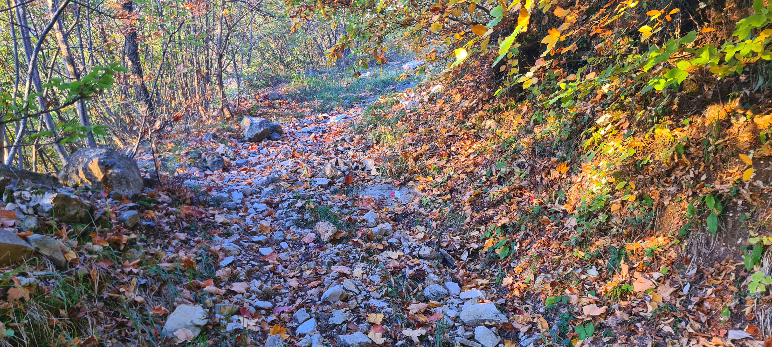 Monte Catria Sentiero 55 - immagine 7