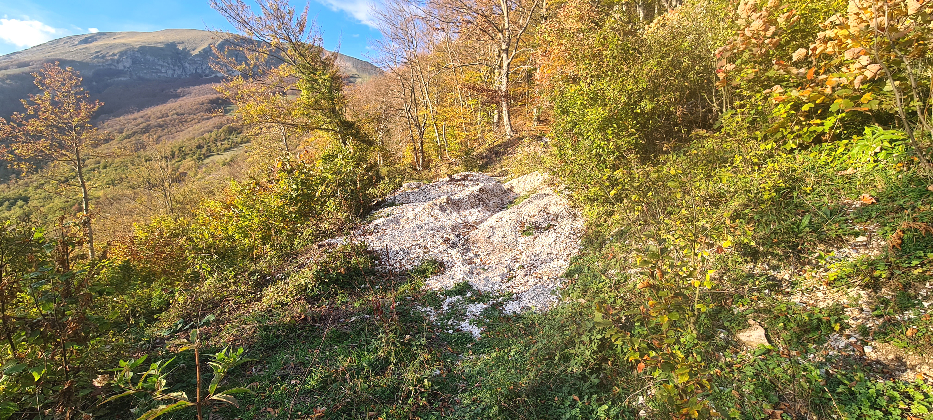 Monte Catria Sentiero 55 - immagine 9