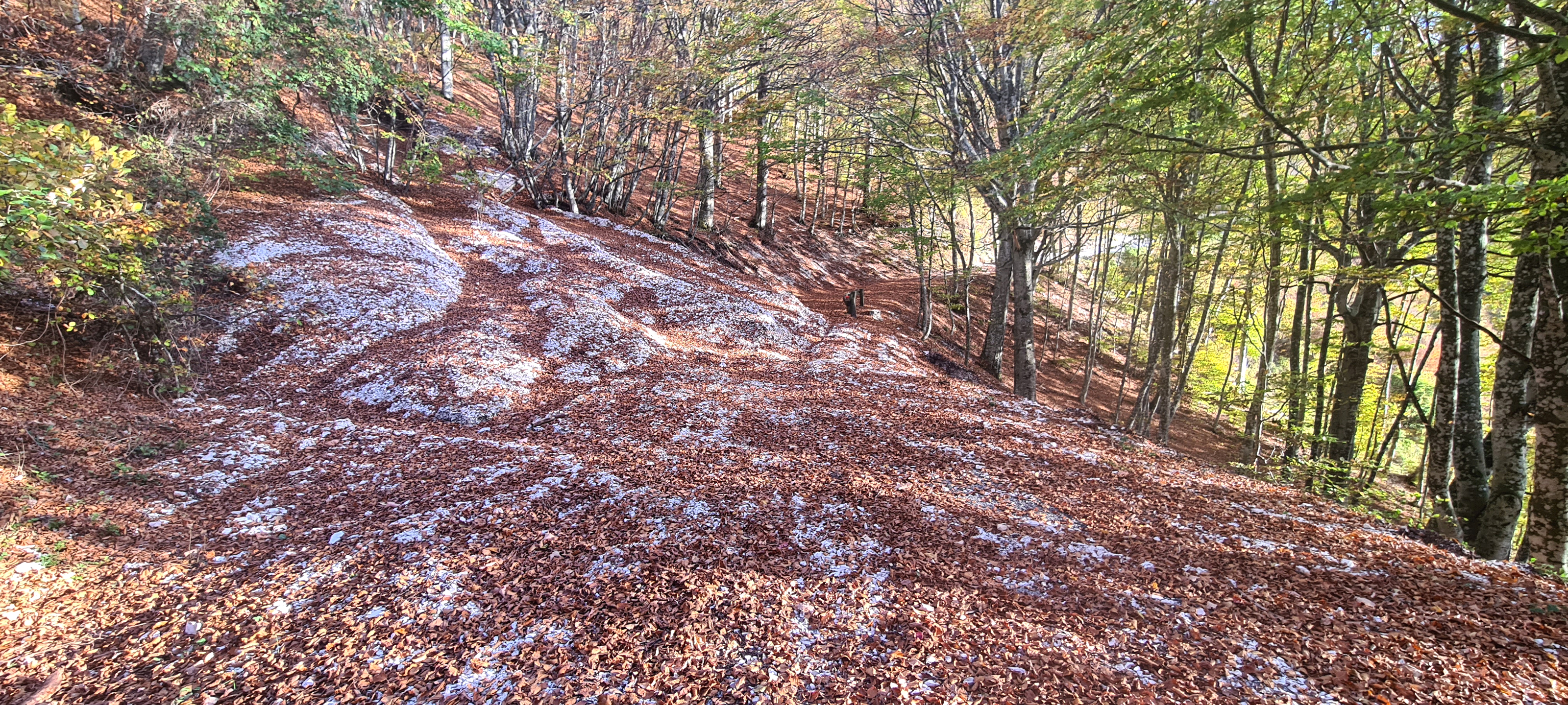 Monte Catria Sentiero 55 - immagine 11