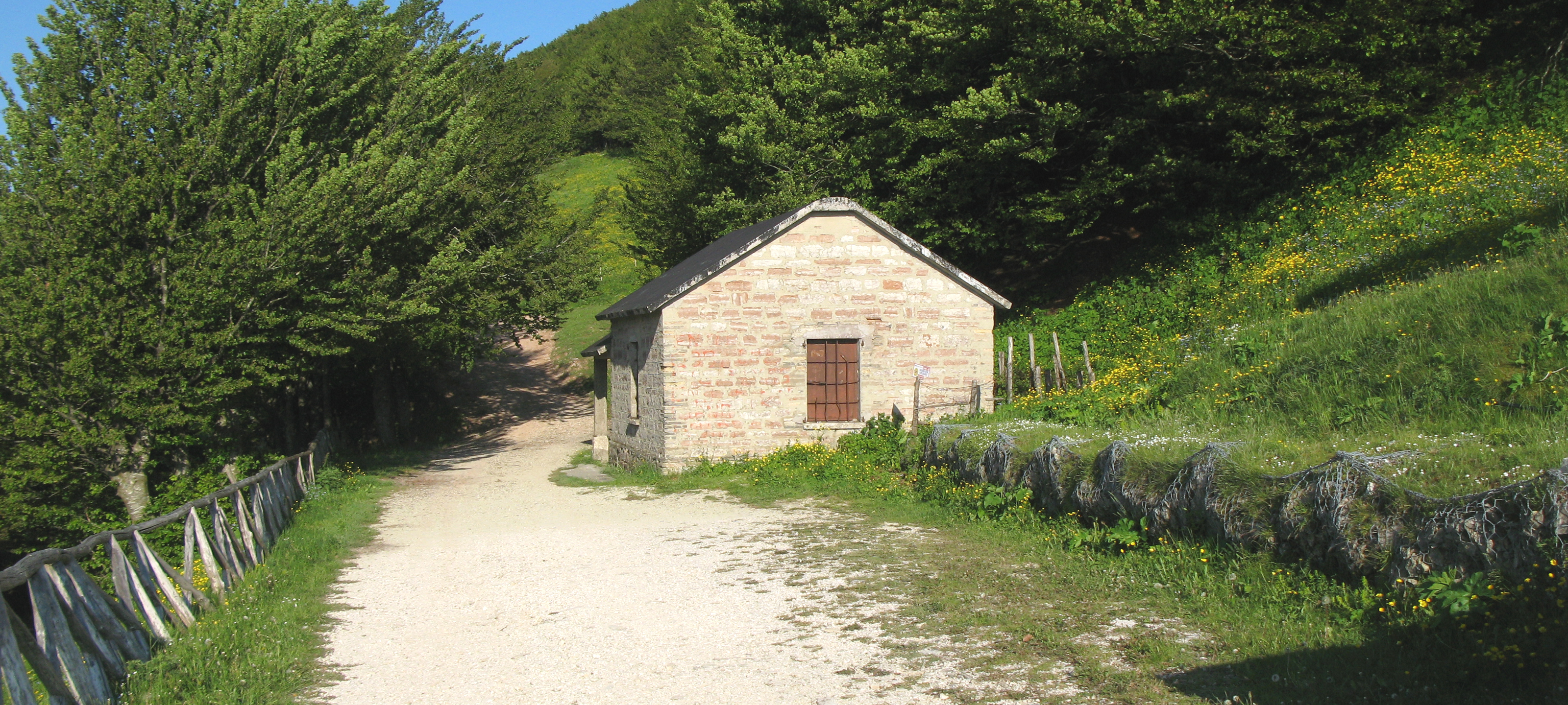 Monte Catria Sentiero 55 - immagine 15 (Rifugio Vernosa)