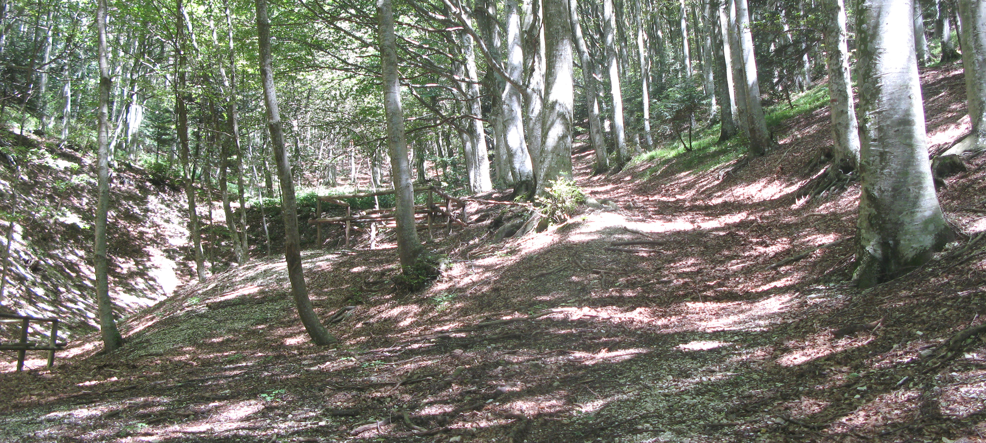 Monte Catria Sentiero 56 - immagine 1