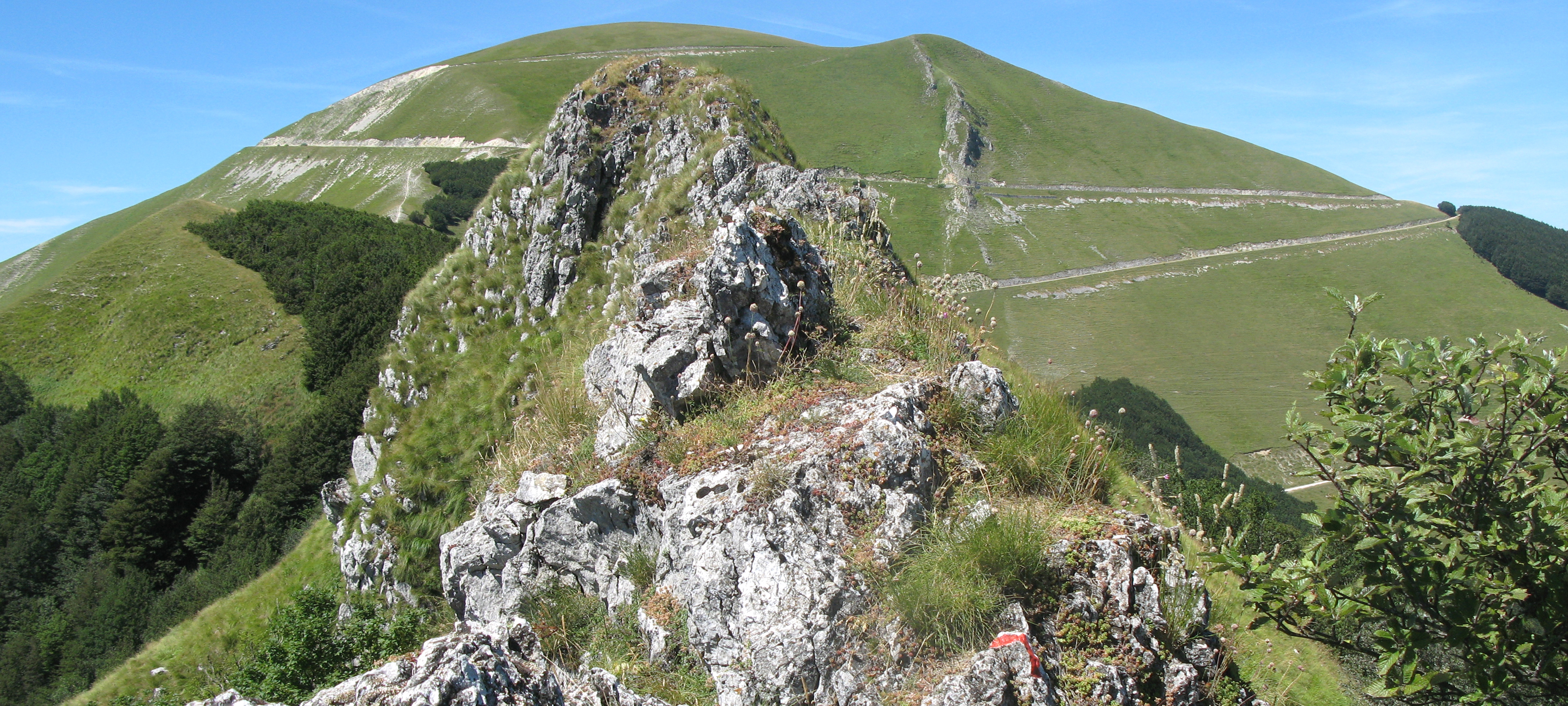 Monte Catria Sentiero 56 - immagine 6 (Balze degli Spicchi)