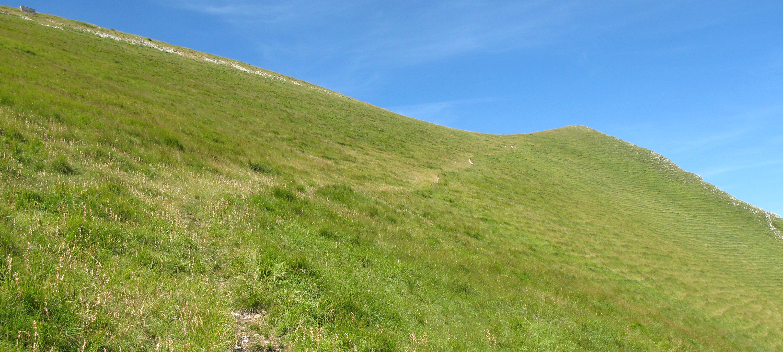 Monte Catria Sentiero 56 - immagine 8