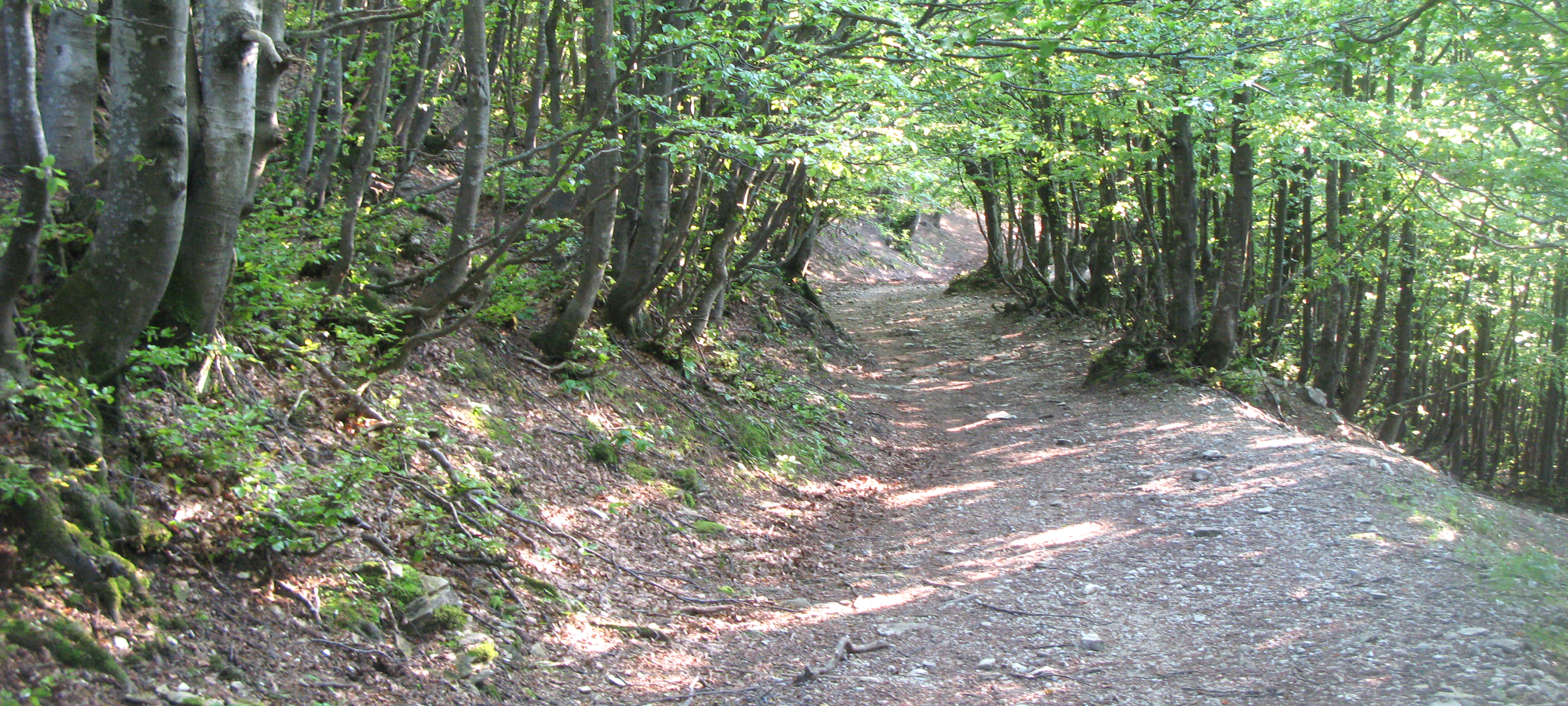 Monte Catria Sentiero 56 - immagine 12