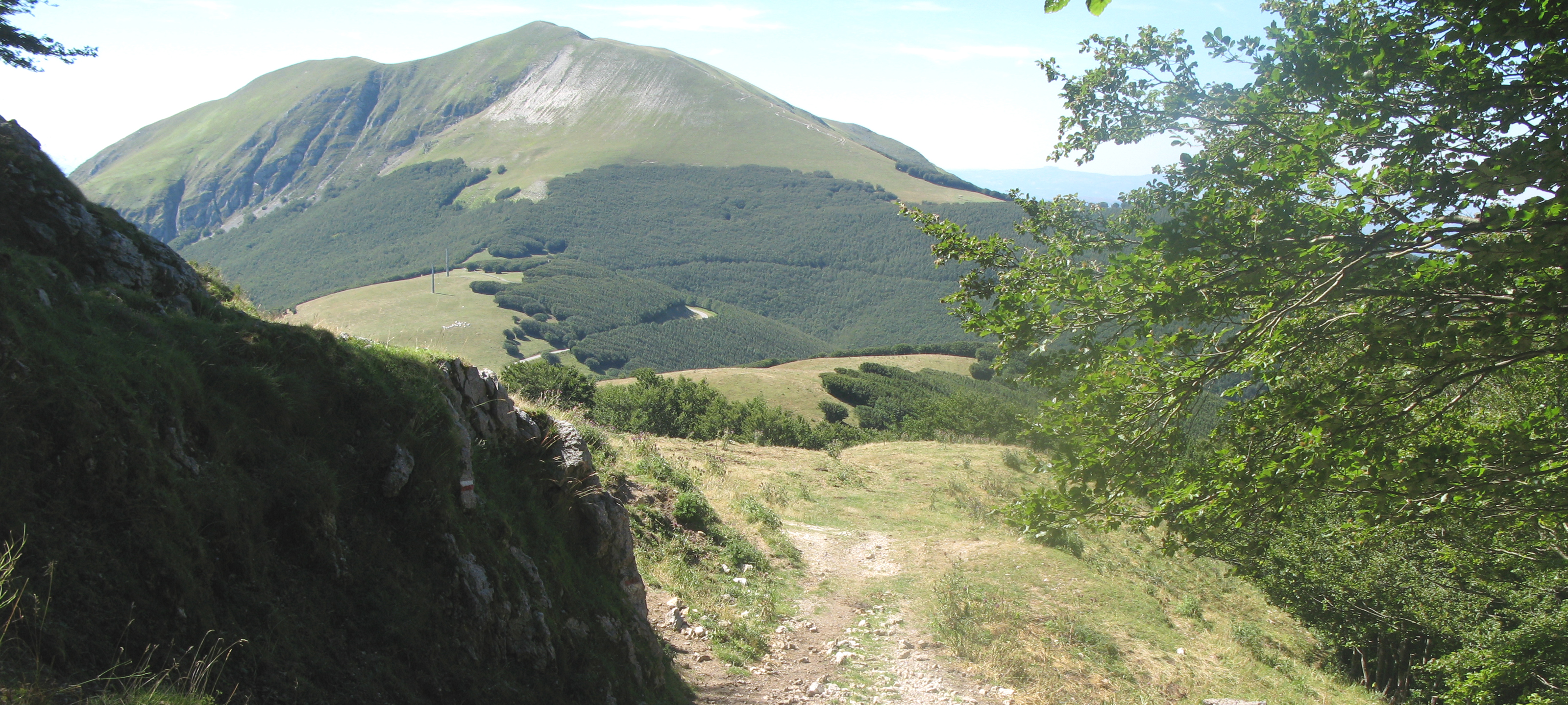 Monte Catria Sentiero 56 - immagine 13