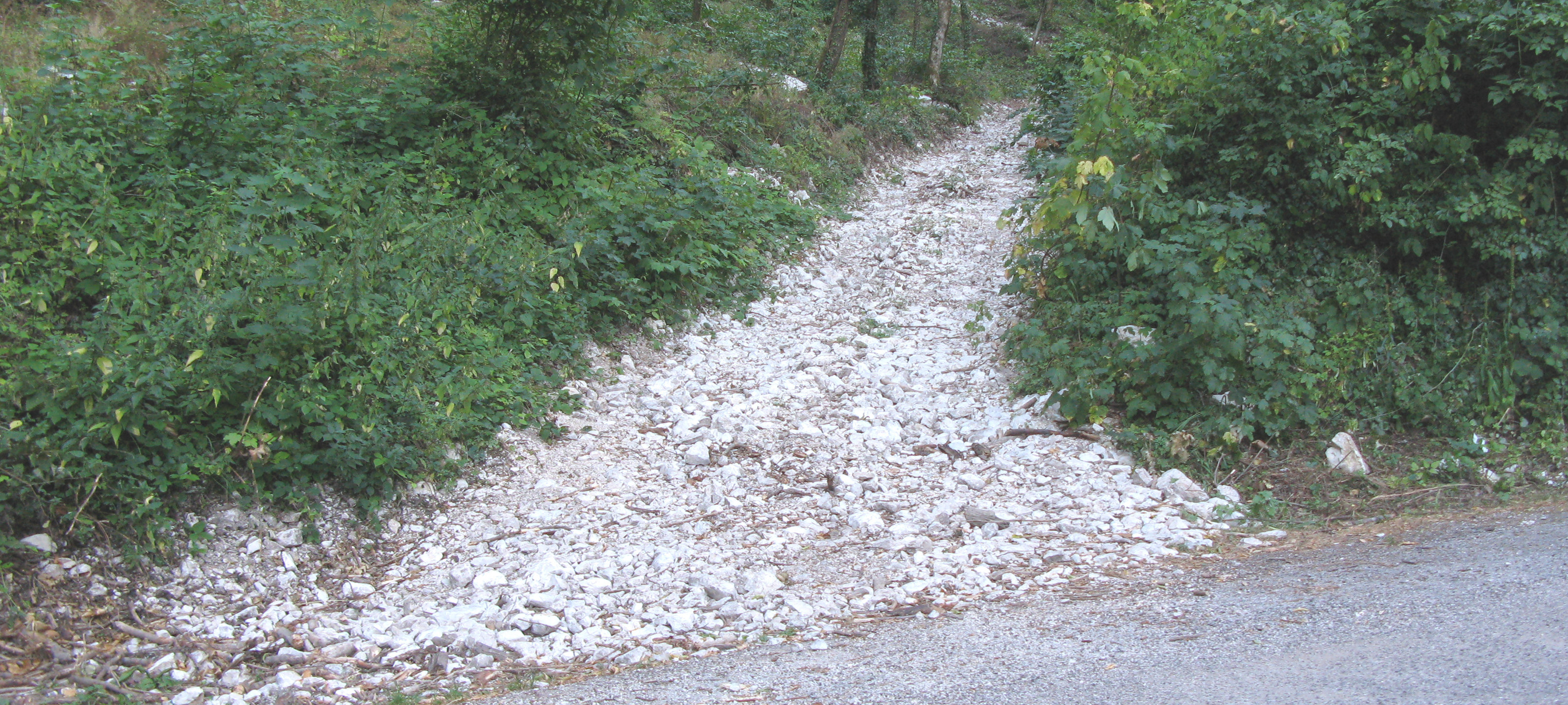 Monte Catria Sentiero 57 - immagine 1