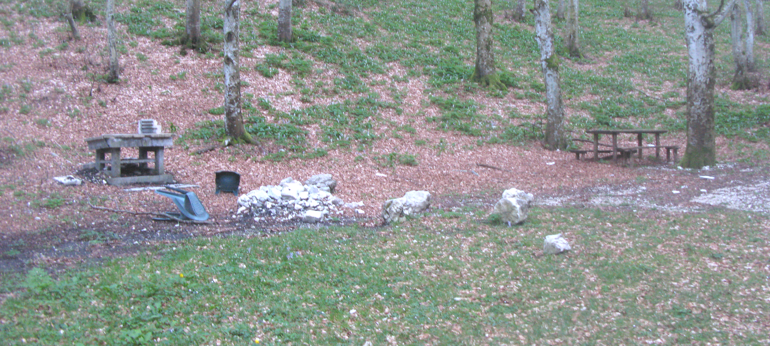 Monte Catria Sentiero 57 - immagine 5