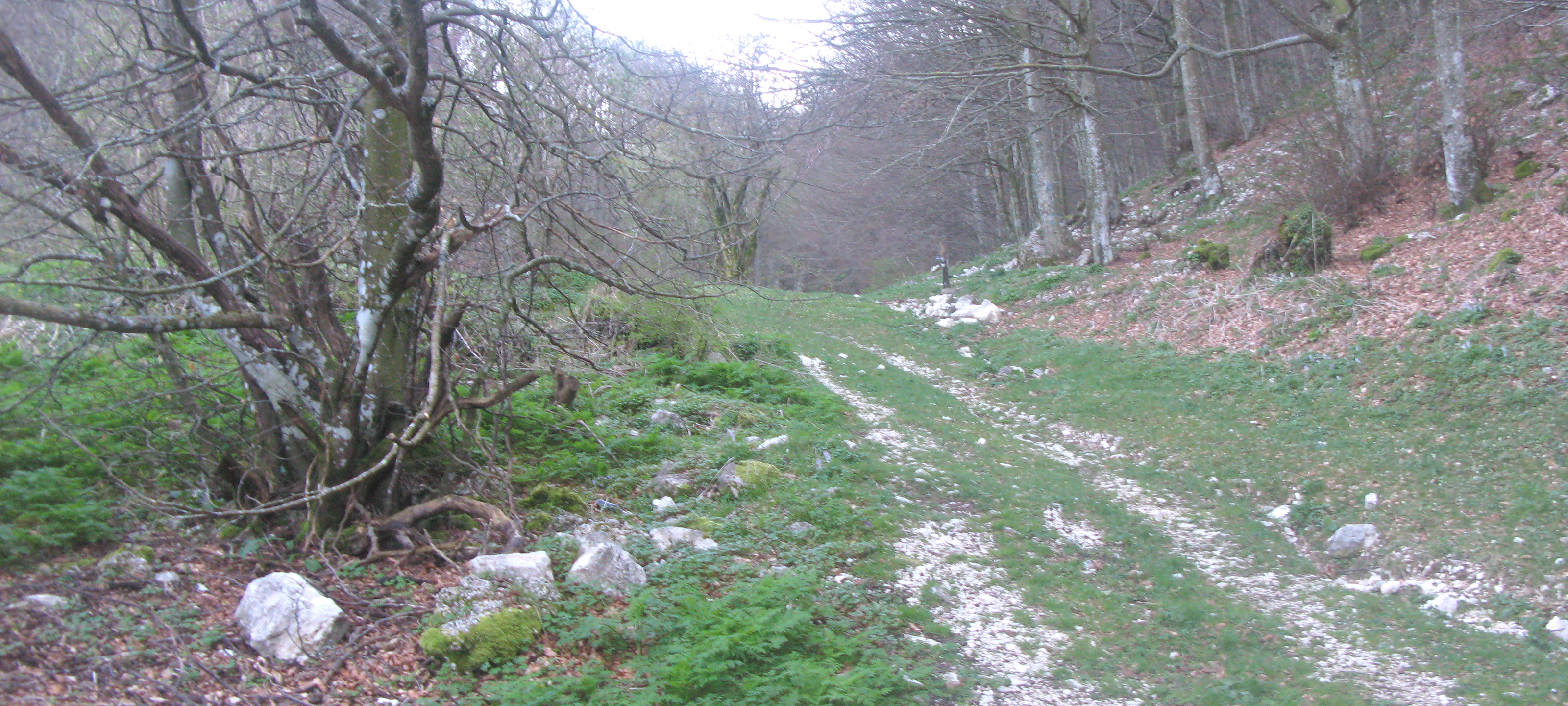 Monte Catria Sentiero 57 - immagine 6