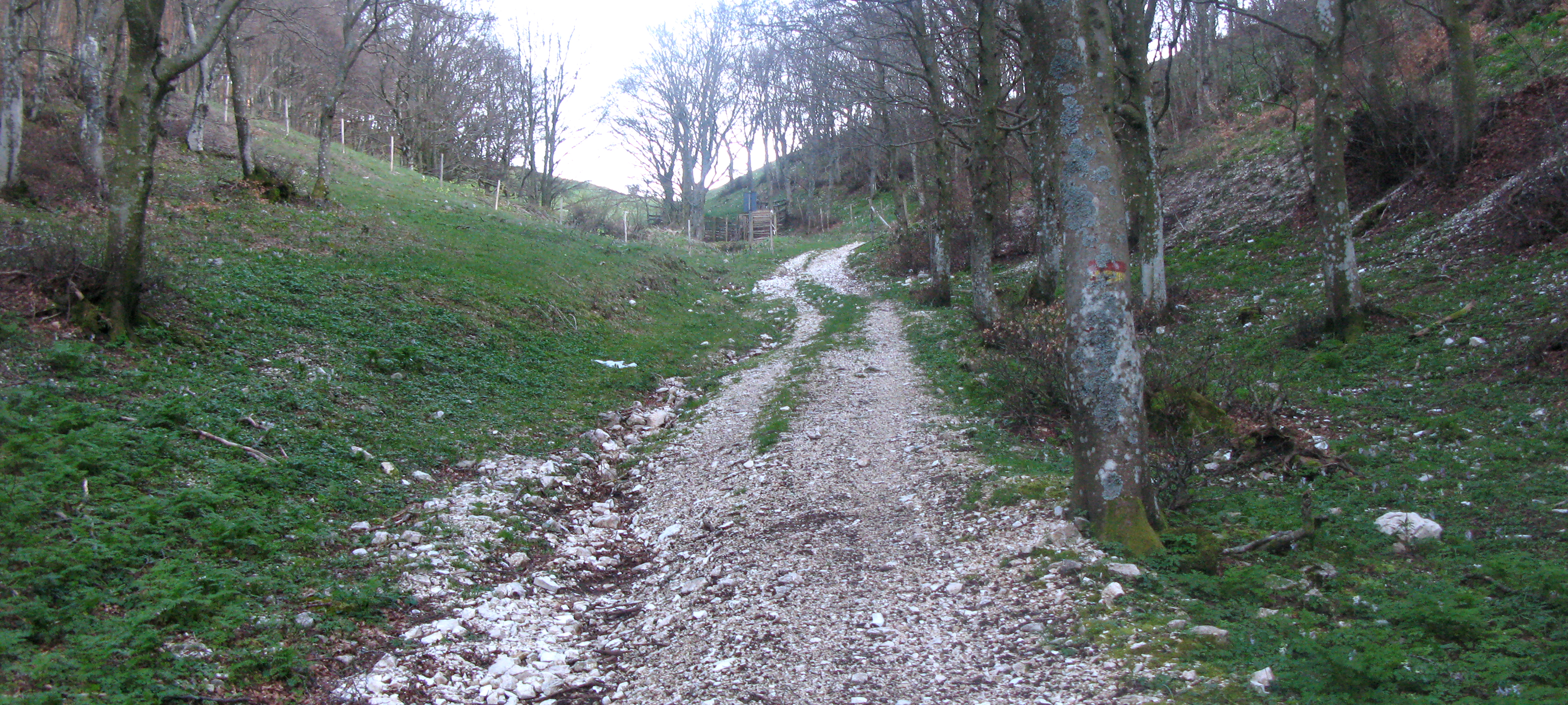 Monte Catria Sentiero 57 - immagine 7