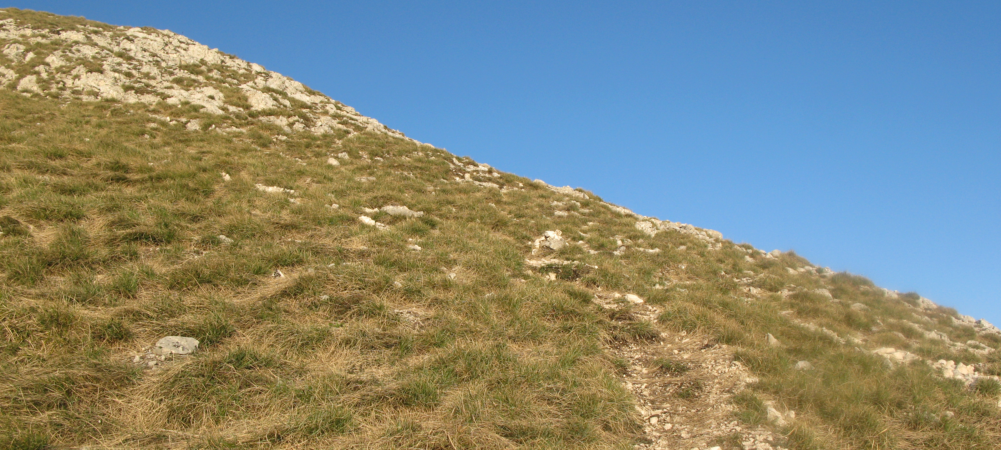 Monte Catria Sentiero 58 - immagine 1a
