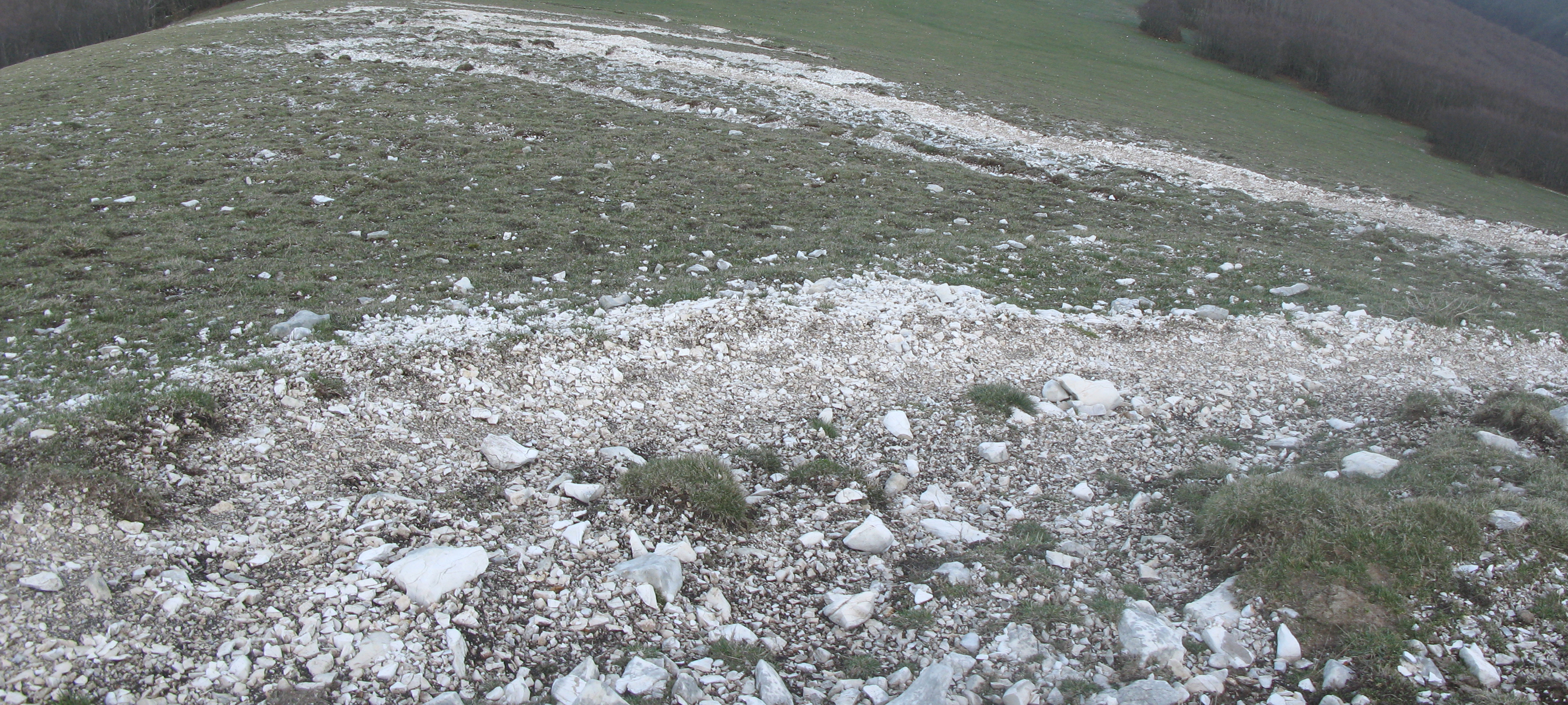 Monte Catria Sentiero 58 - immagine 6