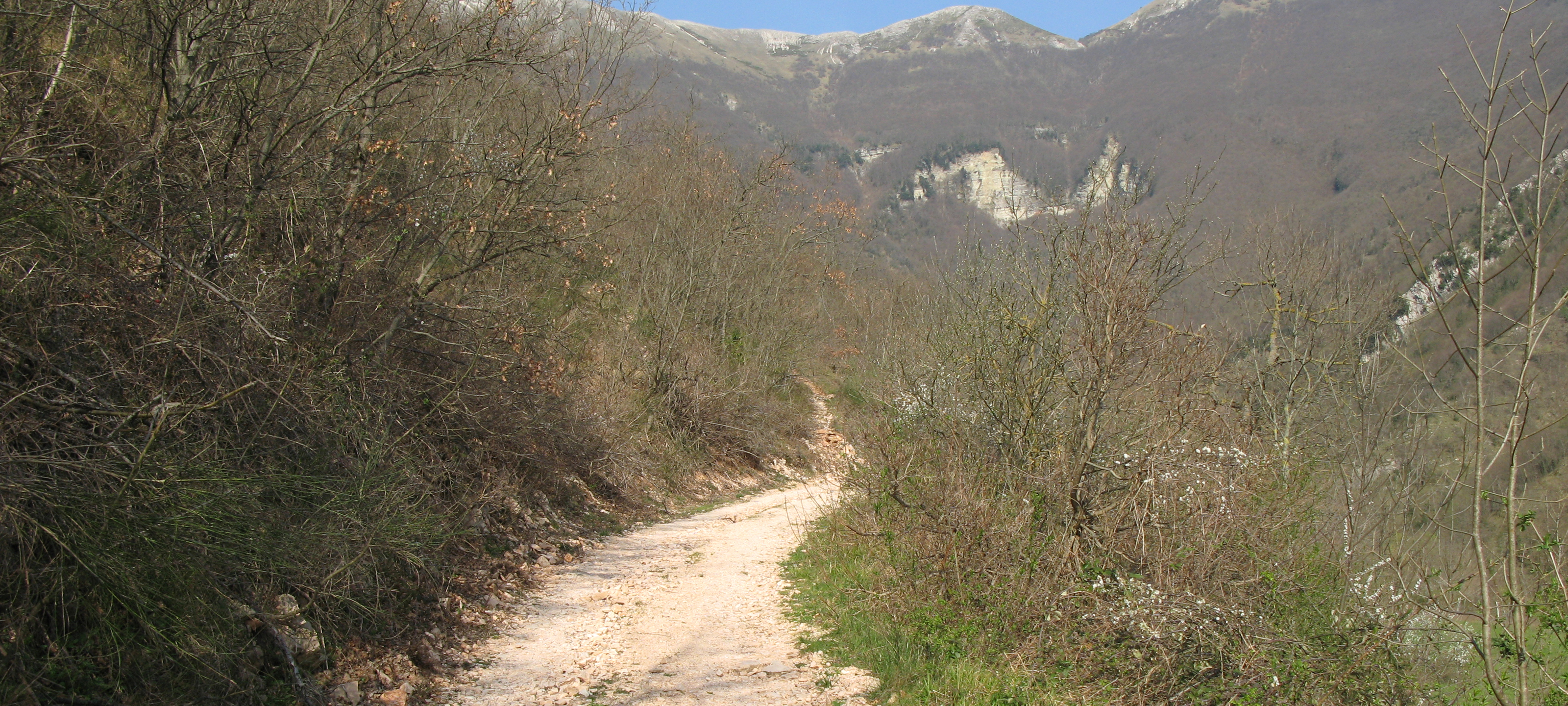 Monte Catria Sentiero 59 - immagine 2