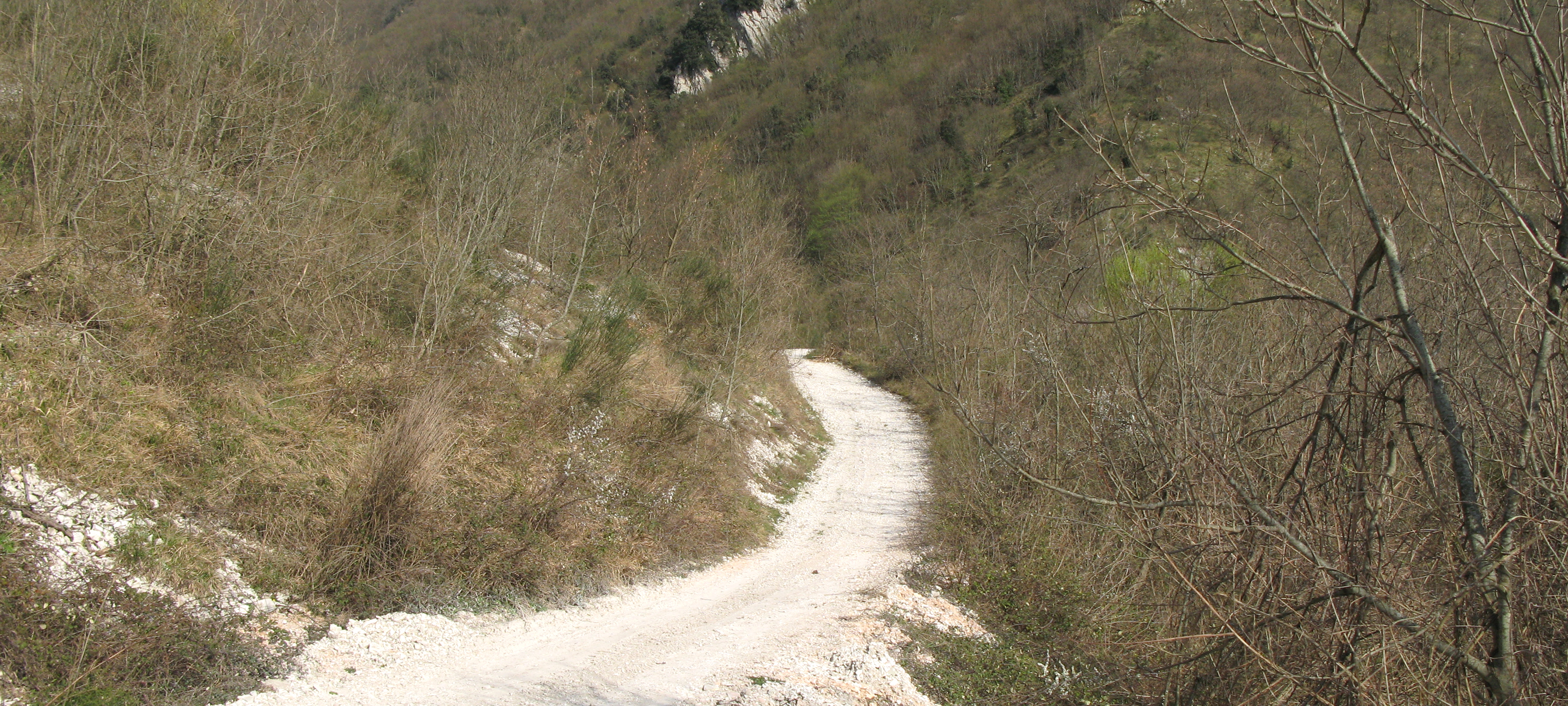 Monte Catria Sentiero 59 - immagine 3
