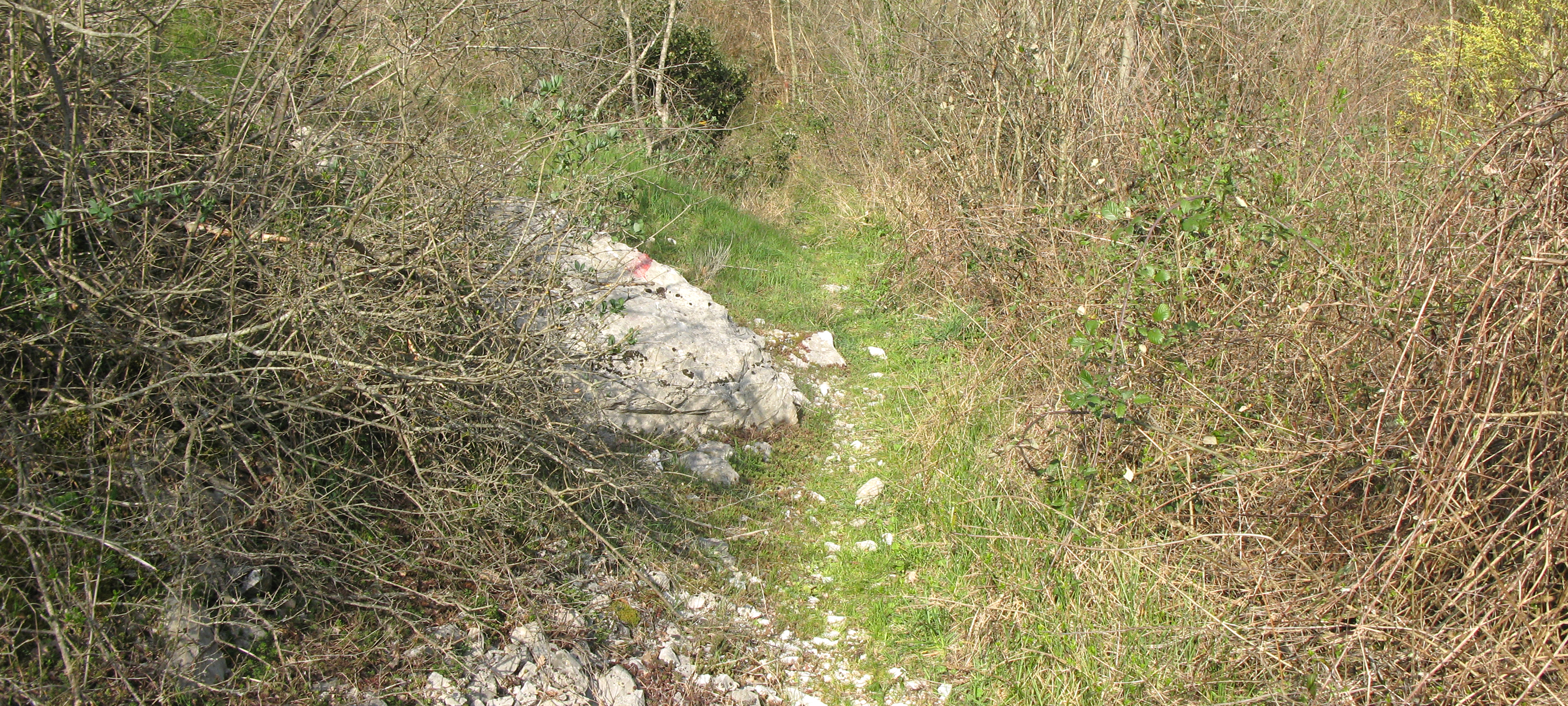 Monte Catria Sentiero 59 - immagine 4