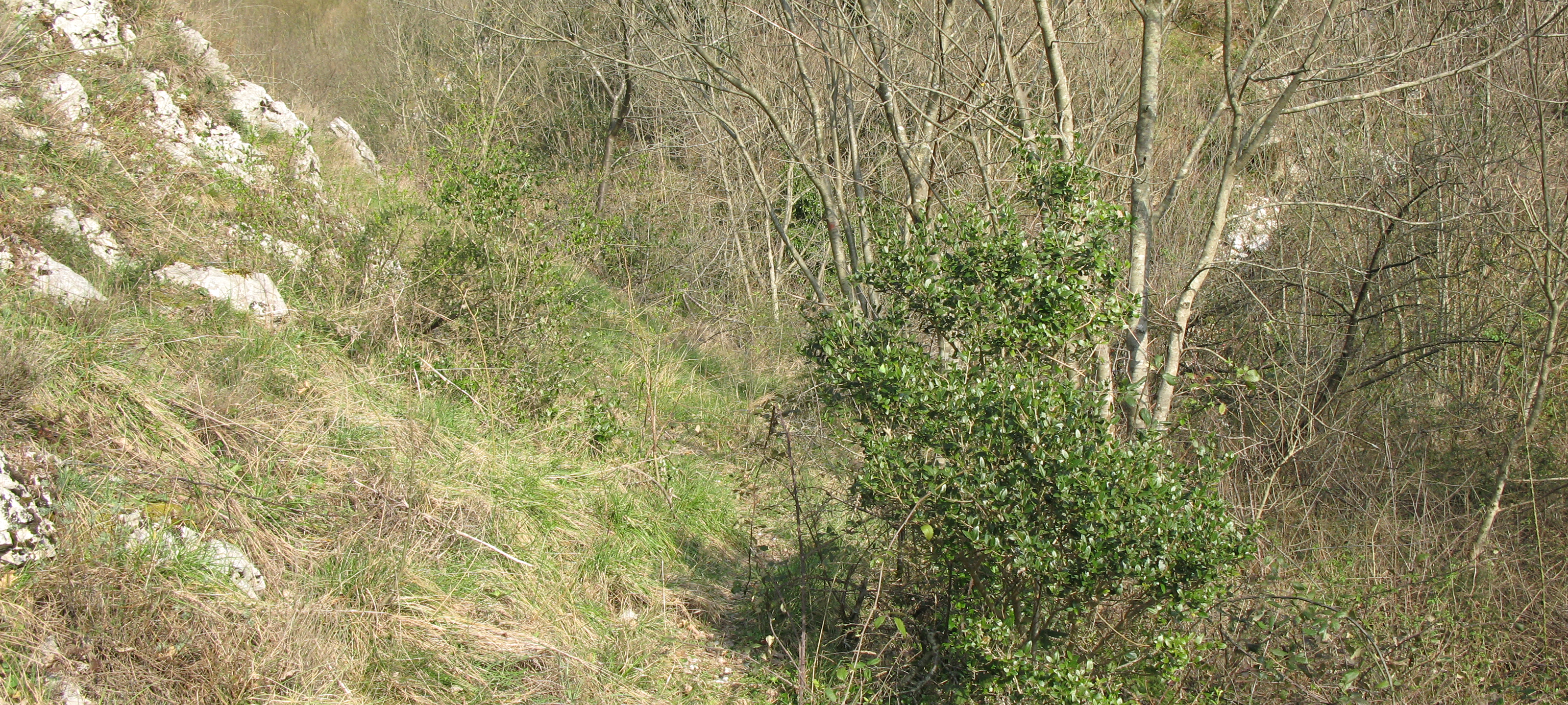 Monte Catria Sentiero 59 - immagine 5