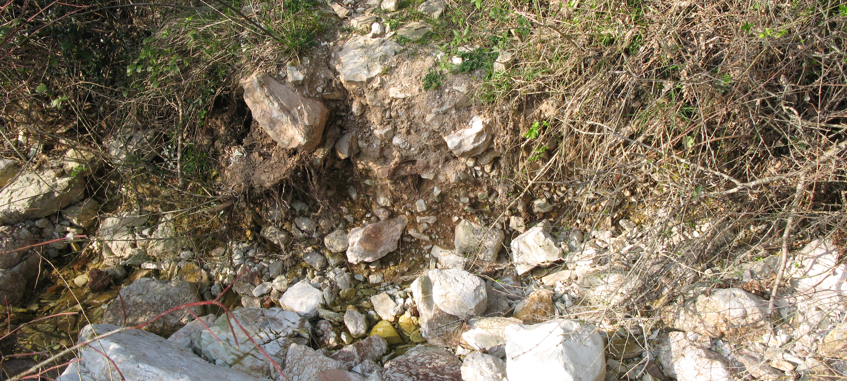 Monte Catria Sentiero 59 - immagine 6