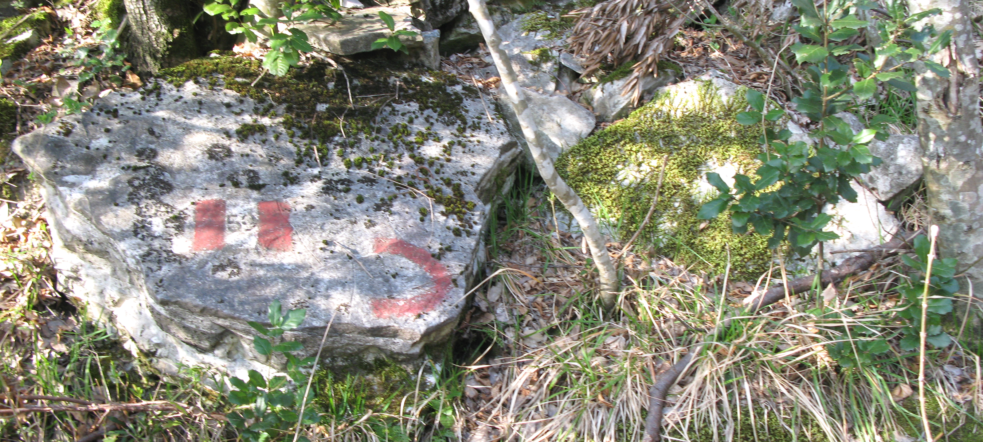 Monte Catria Sentiero 59 - immagine 7