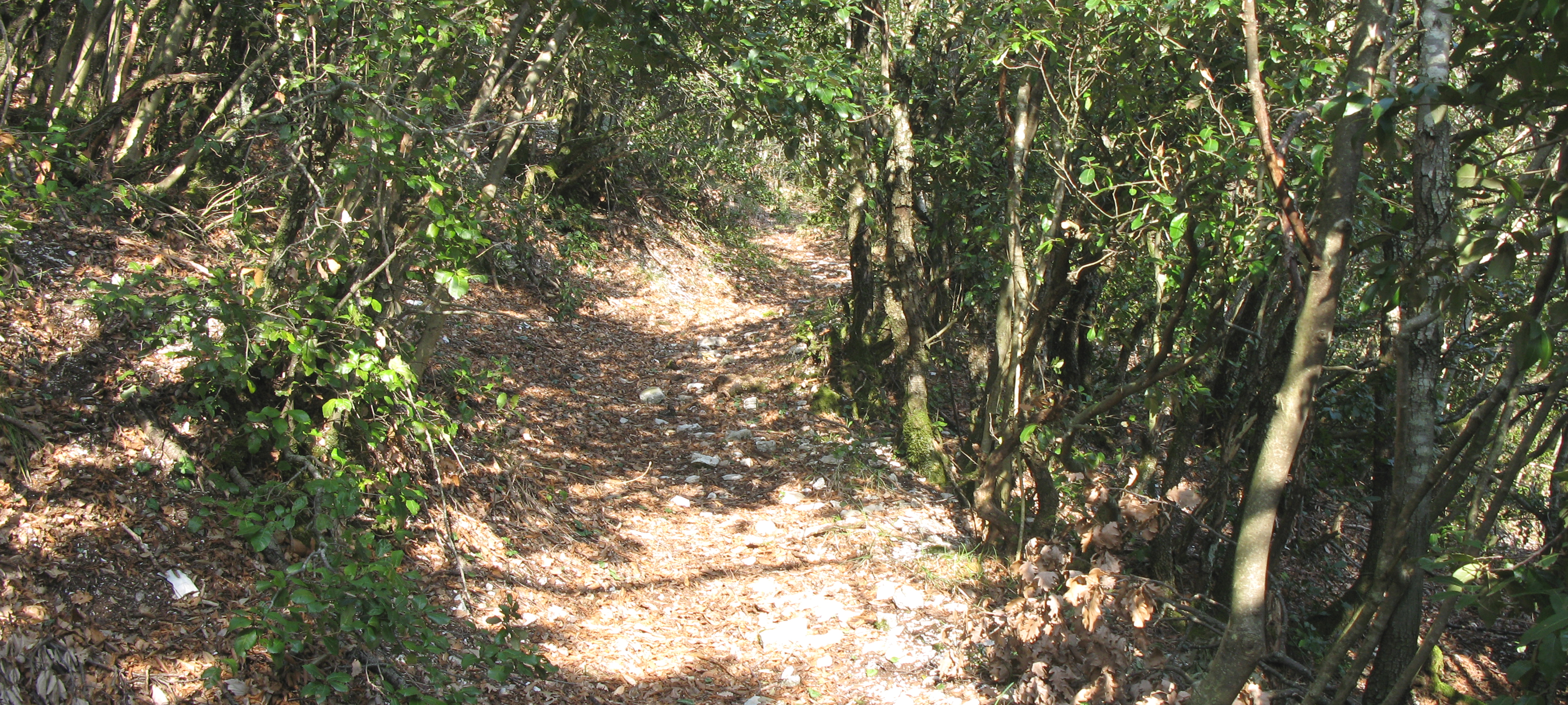 Monte Catria Sentiero 59 - immagine 8