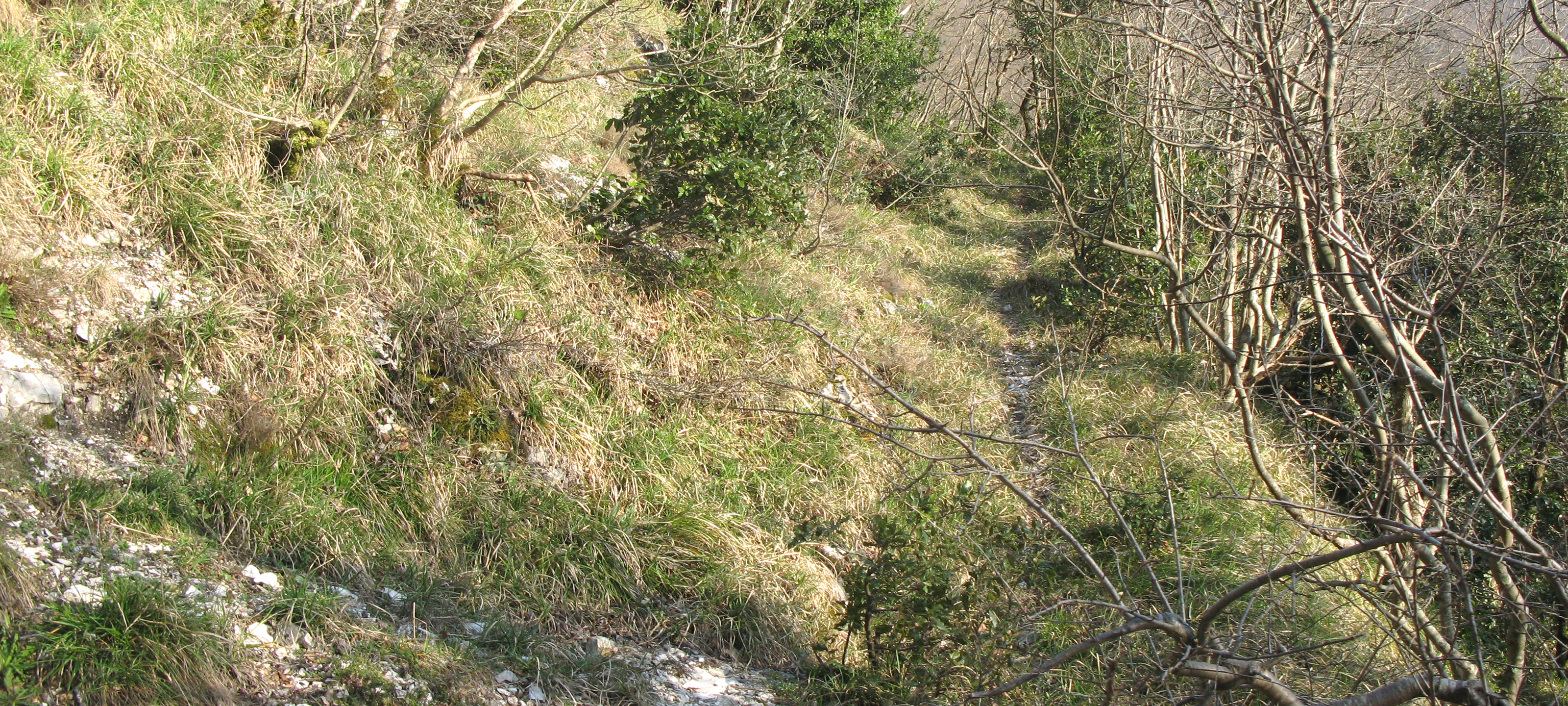 Monte Catria Sentiero 59 - immagine 9