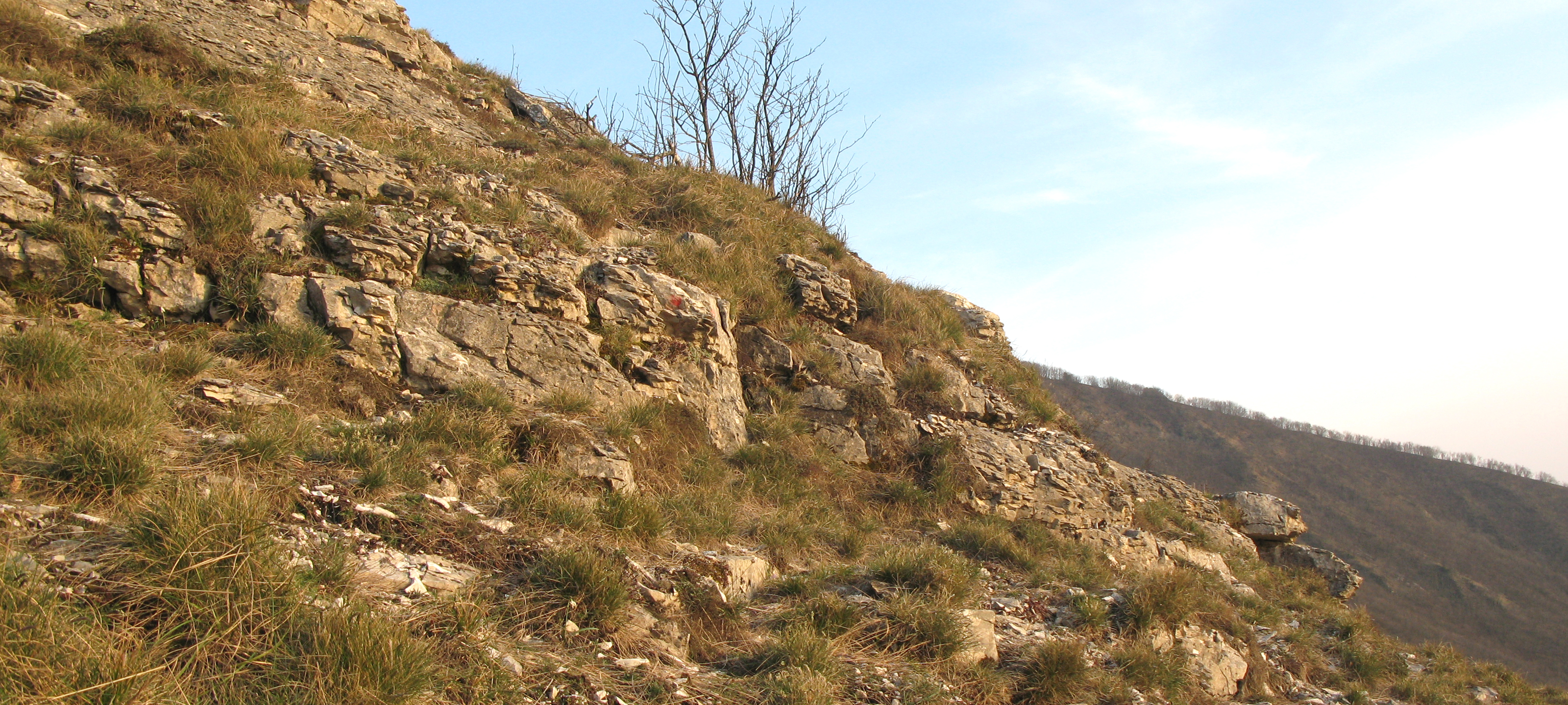 Monte Catria Sentiero 59 - immagine 11