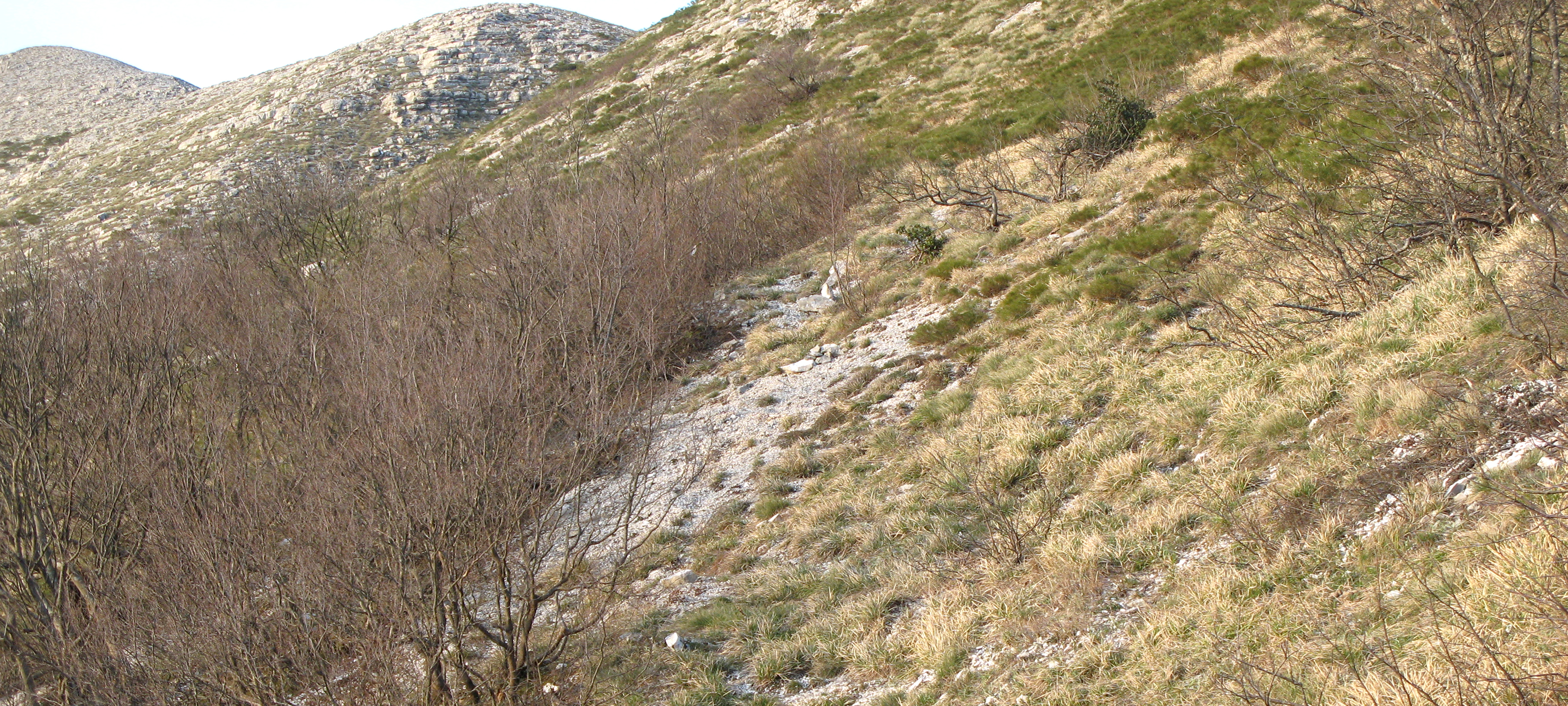 Monte Catria Sentiero 59 - immagine 12